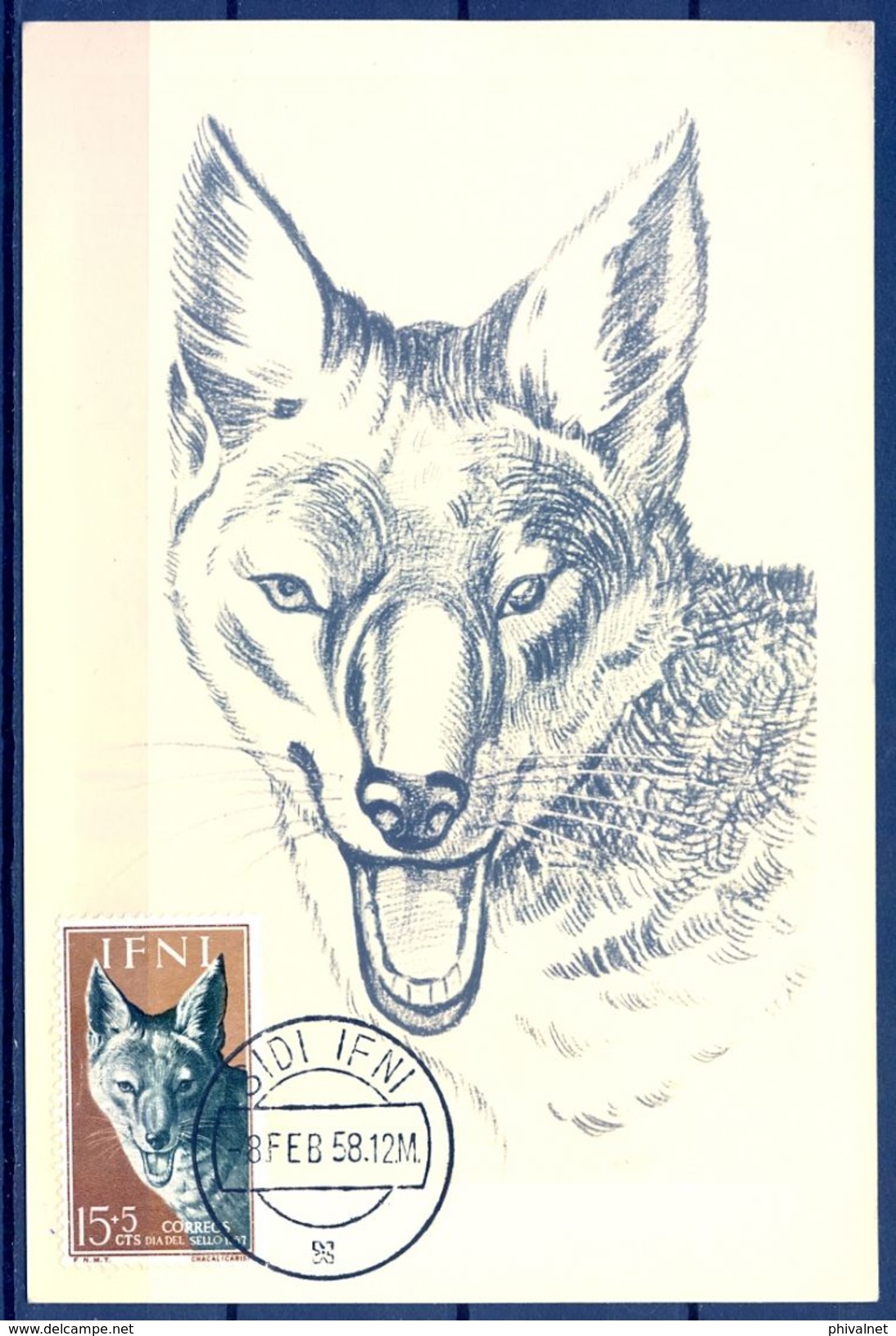 1958 , IFNI , ED. 139 - DIA DEL SELLO , FAUNA AFRICANA , CANIS AUREUS,  MAT. DE SIDI IFNI - Ifni