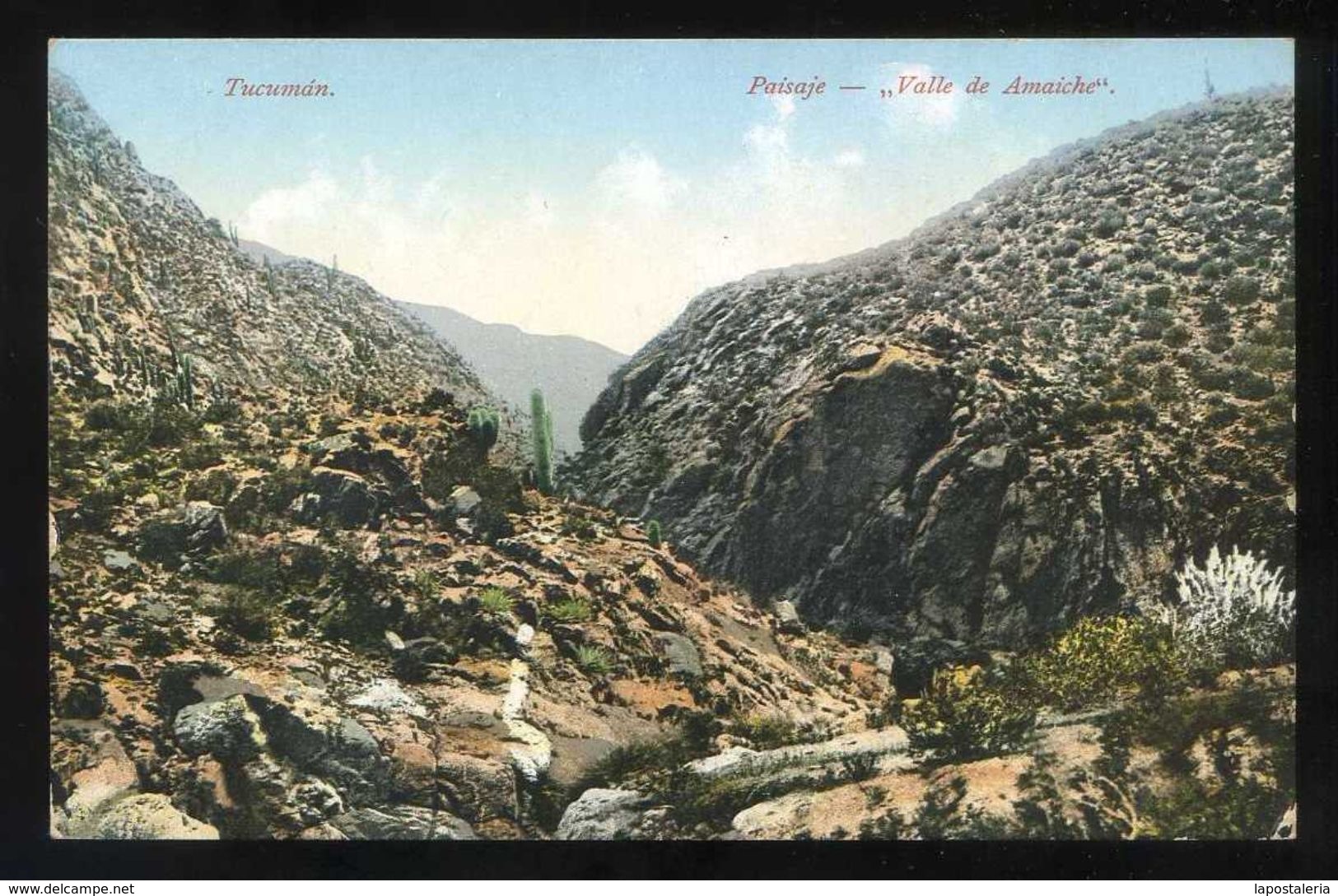 Argentina. Prov. De Tucumán. *Valle De Amaiche. Paisaje* Ed. A. Prebish Nº 359. Nueva. - Argentina