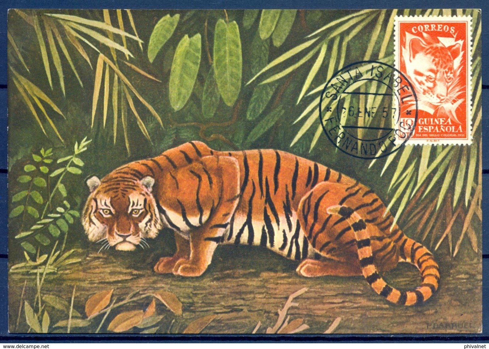 1957 , GUINEA ESPAÑOLA , ED. 307 - DIA DEL SELLO , FAUNA , FELINOS , GENETTA FELINA , MAT. SANTA ISABEL / FERNANDO POO - Guinea Española