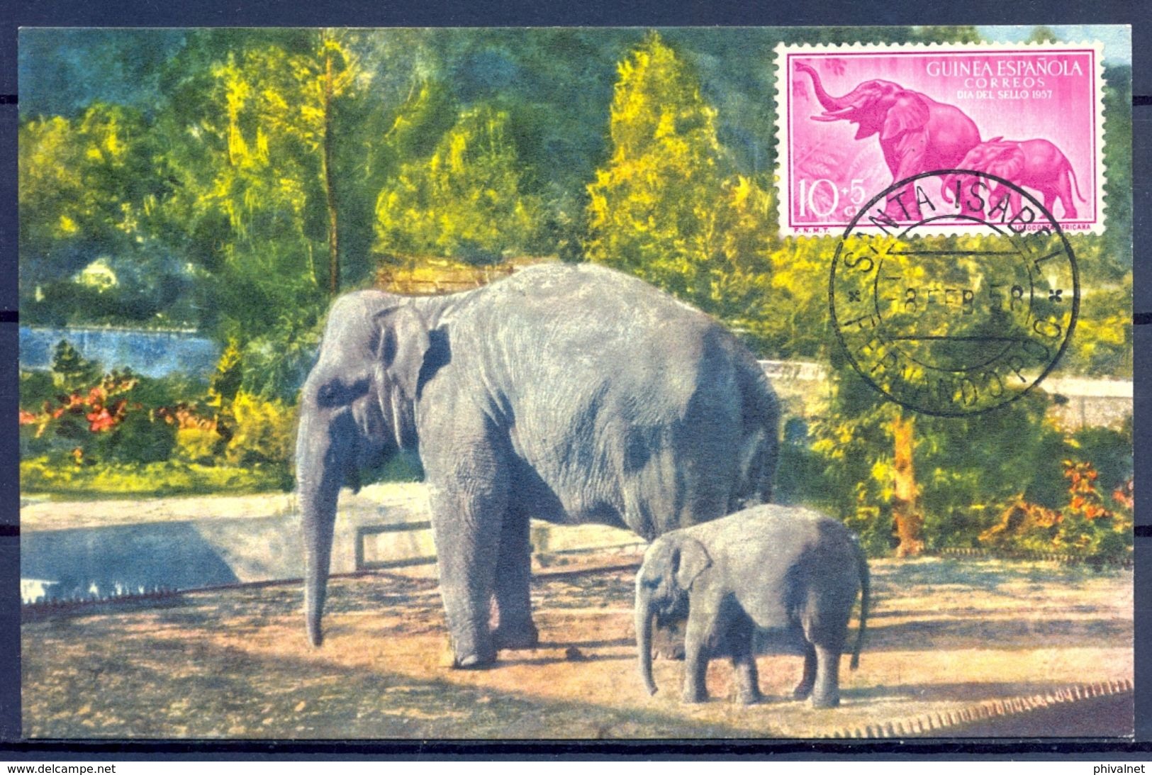 1958 , GUINEA ESPAÑOLA , ED. 369 - DIA DEL SELLO , FAUNA , ELEFANTES , MAT. SANTA ISABEL / FERNANDO POO - Guinea Española