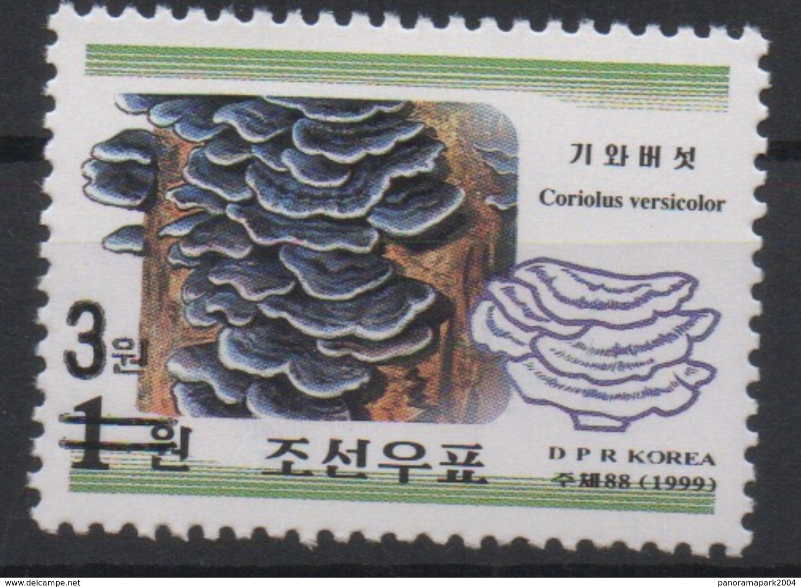 North Korea Corée Du Nord Nordkorea 2006 Mi. 5070 Surchargé OVERPRINT Flora Mushroom Champignon Pilz MNH** RARE - Mushrooms