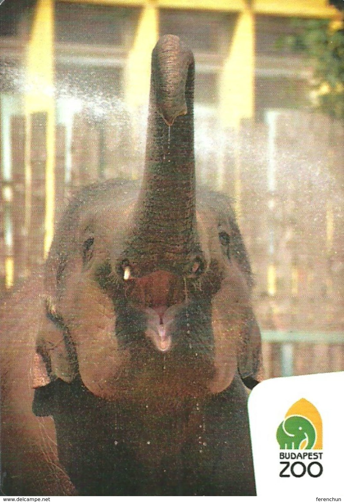 ELEPHANT * ANIMAL * CALENDAR * Budapest Zoo 2018 01 * Hungary - Tamaño Pequeño : 2001-...