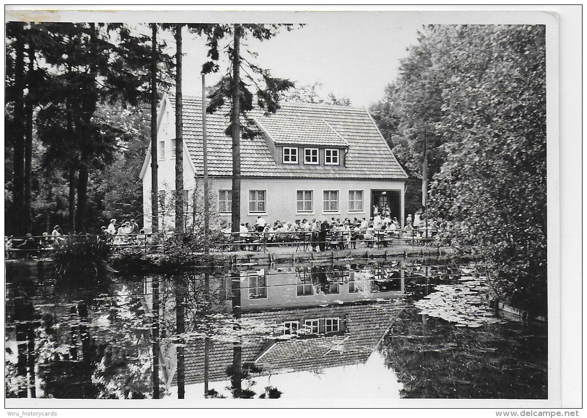 AK 0818  Schmiedefeld ( Gaststätte , Terrasse ) - Ostalgie , DDR Um 1960 - Schmiedefeld