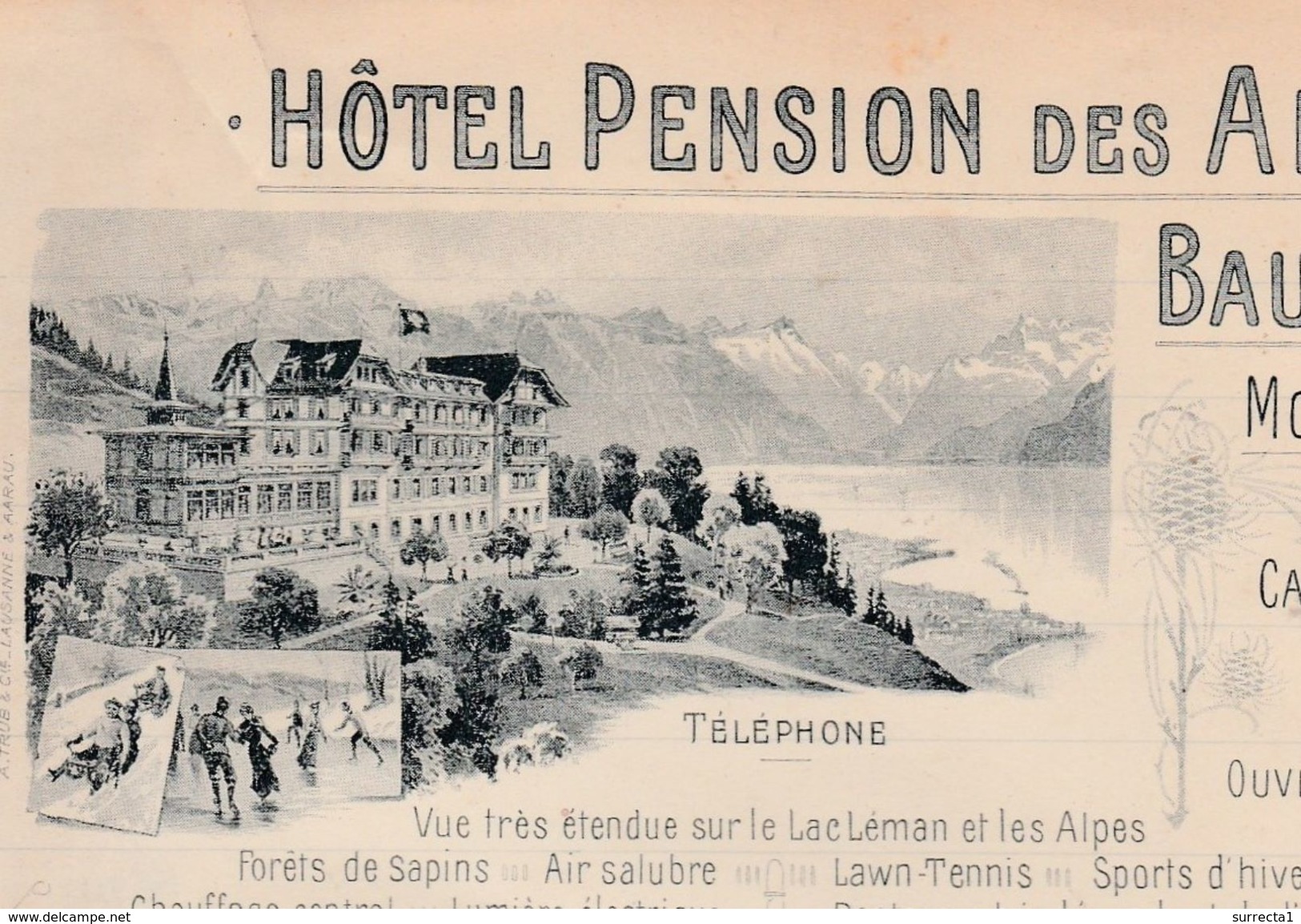 Courrier 1906 / Hôtel Pension Des Alpes / BAUMAROCHE / Mont  - Pèlerin Sur Vevey / Suisse - Svizzera