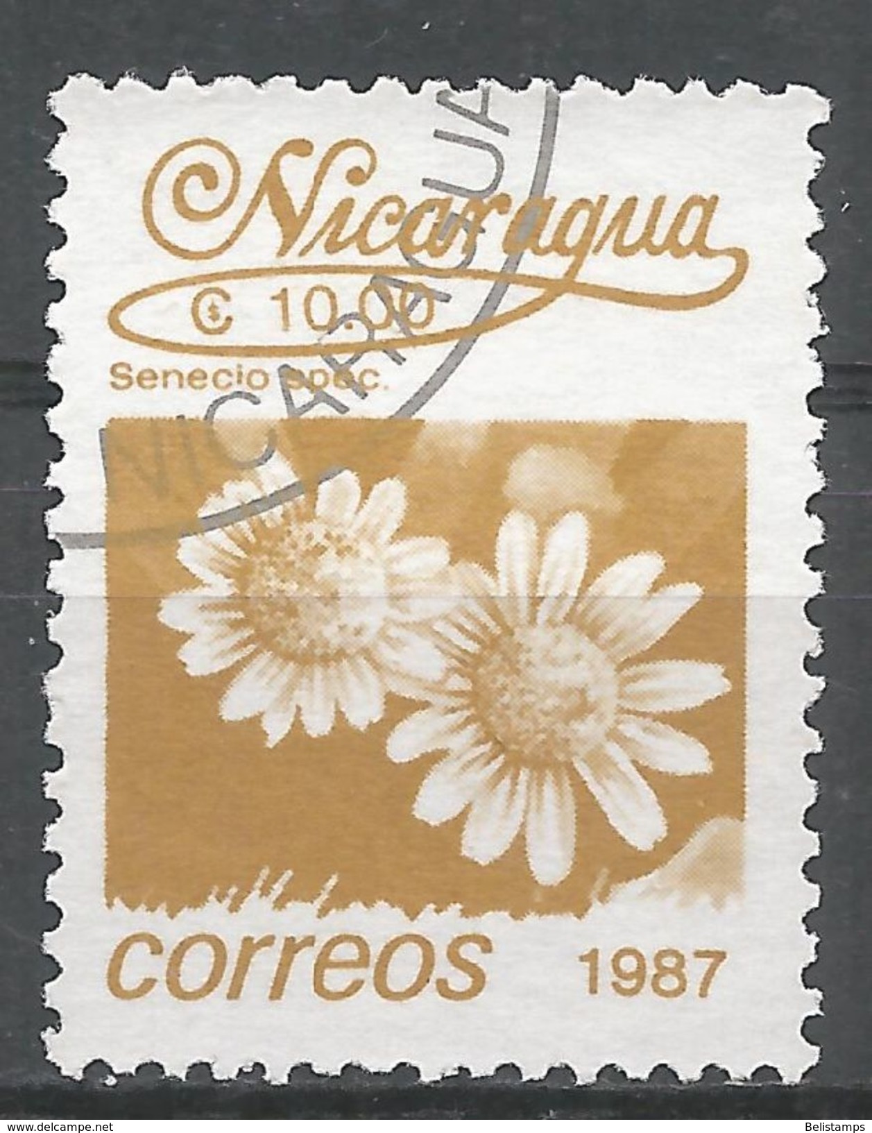Nicaragua 1987. Scott #1601 (U) Flowers, Senecio Spec - Nicaragua