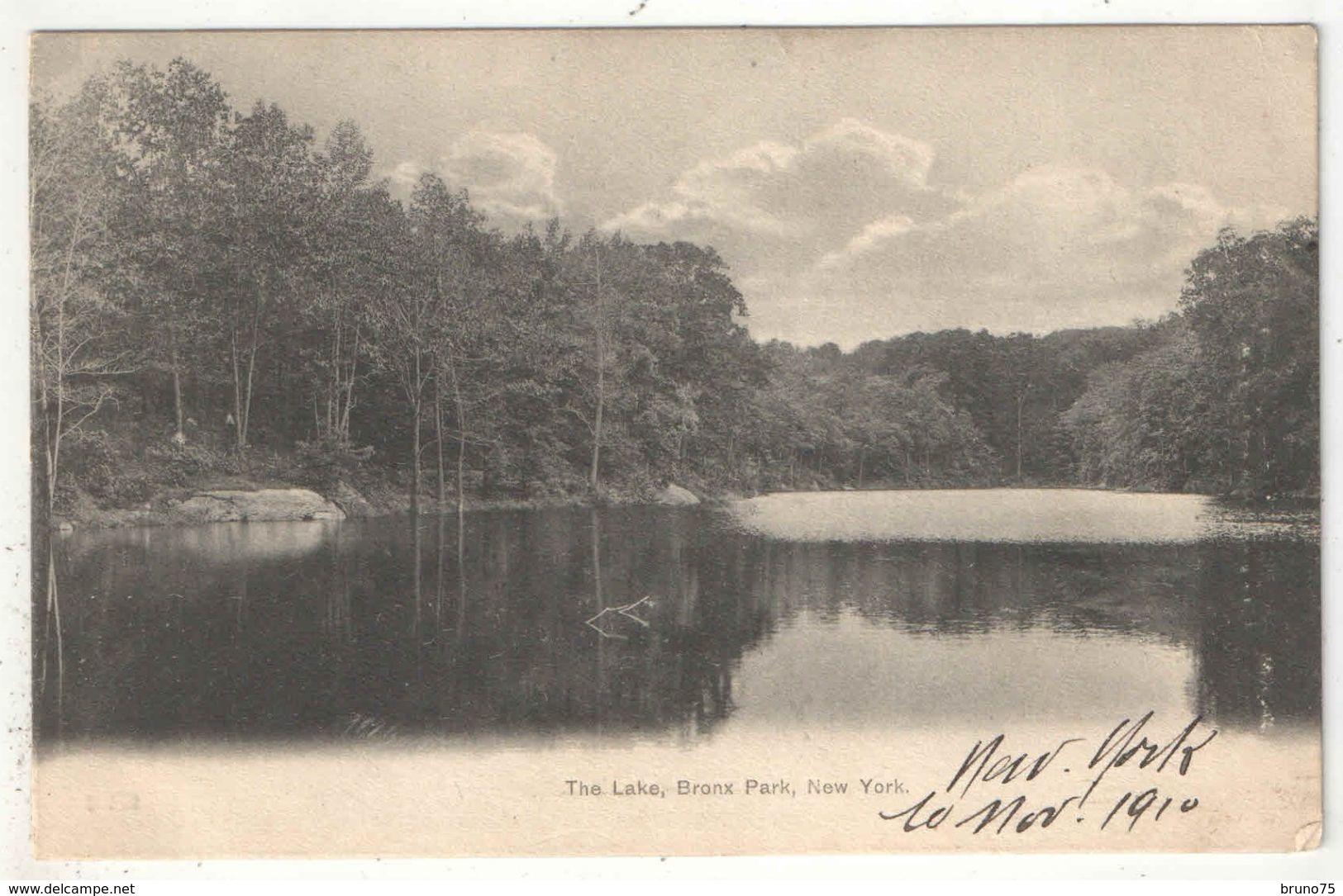 NEW YORK - The Lake - Bronx Park - Parken & Tuinen