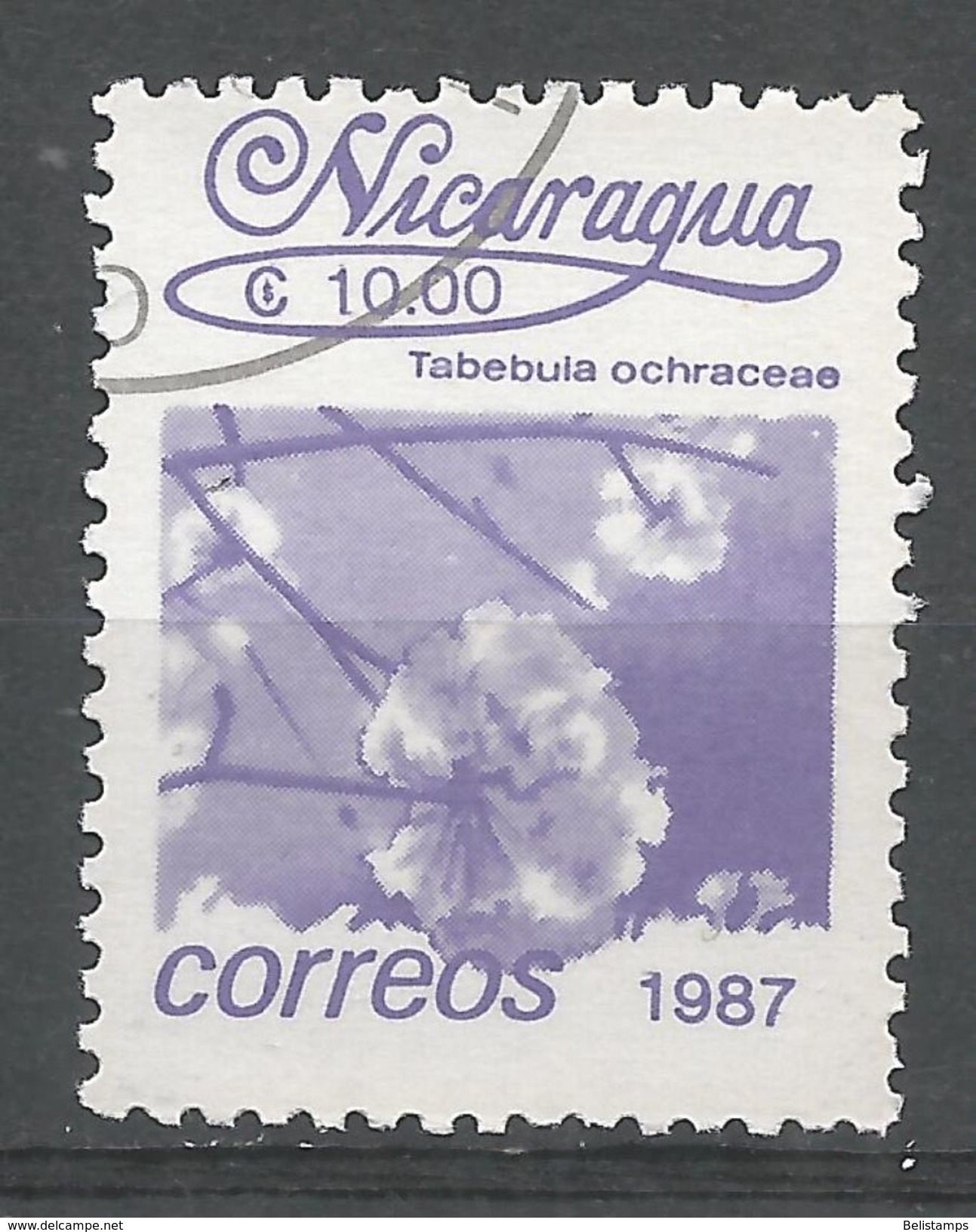 Nicaragua 1987. Scott #1604 (U) Flowers, Tabebula Ochraceae - Nicaragua