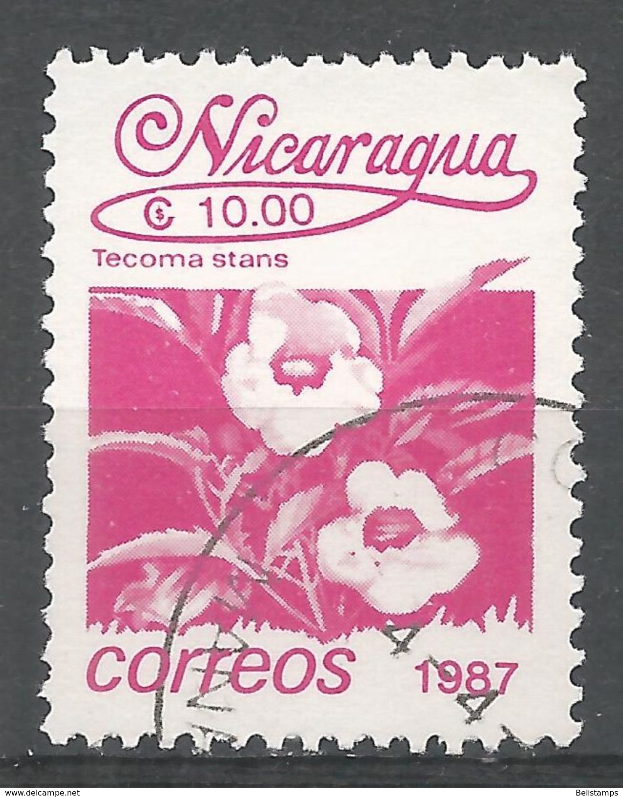 Nicaragua 1987. Scott #1606 (U) Flowers, Tecoma Stans - Nicaragua