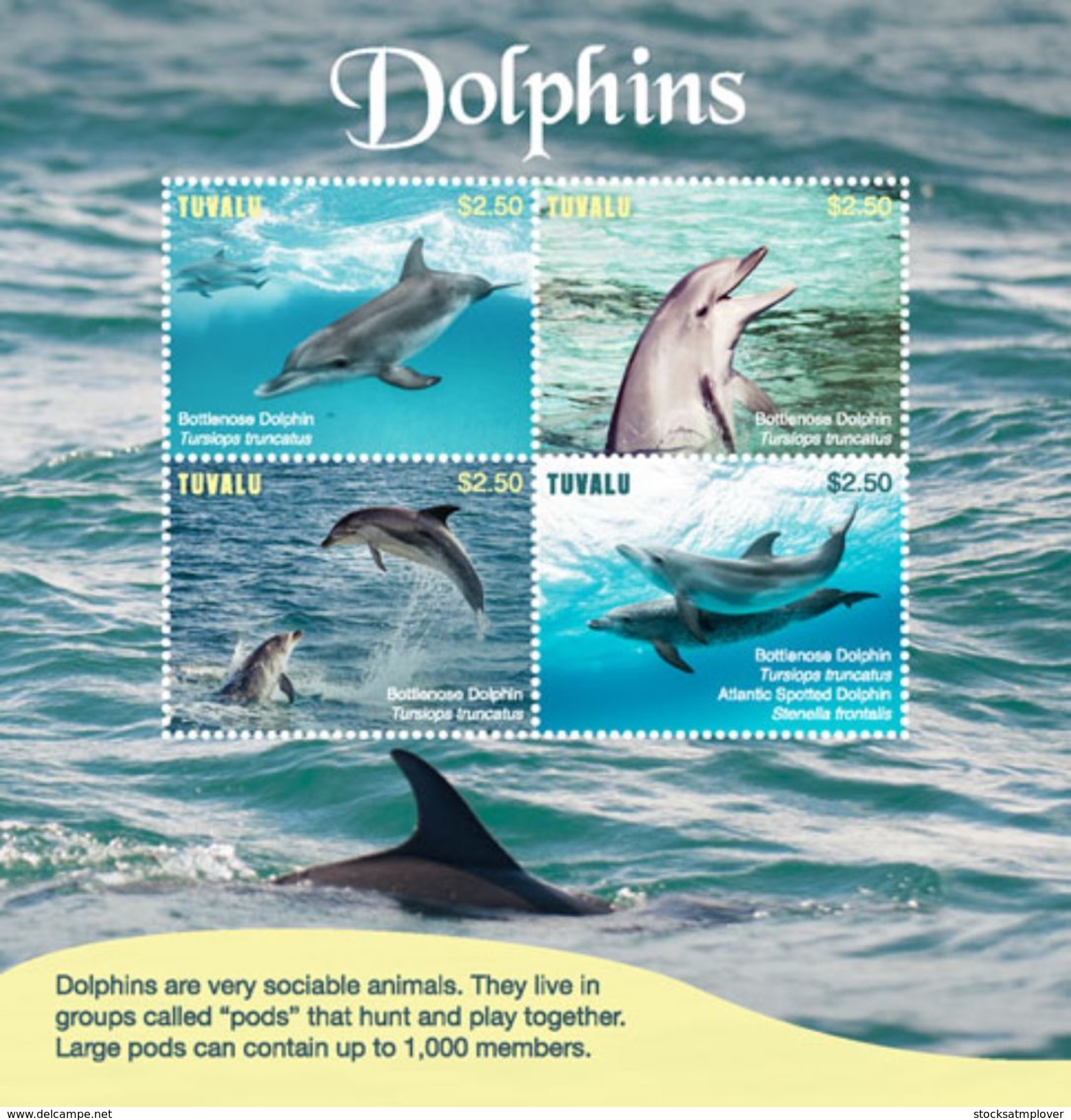 Tuvalu 2017 Animal Dolphin - Dolphins