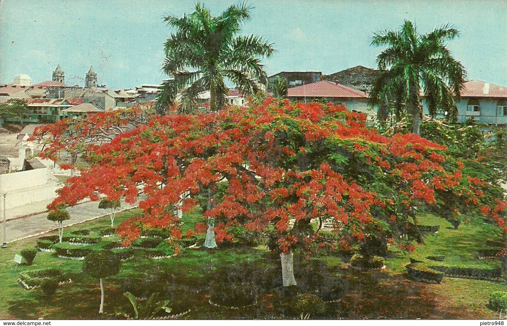 Republica De Panama, Panama, Plaza De Francia, Francia Square With Acacia Trees - Panama