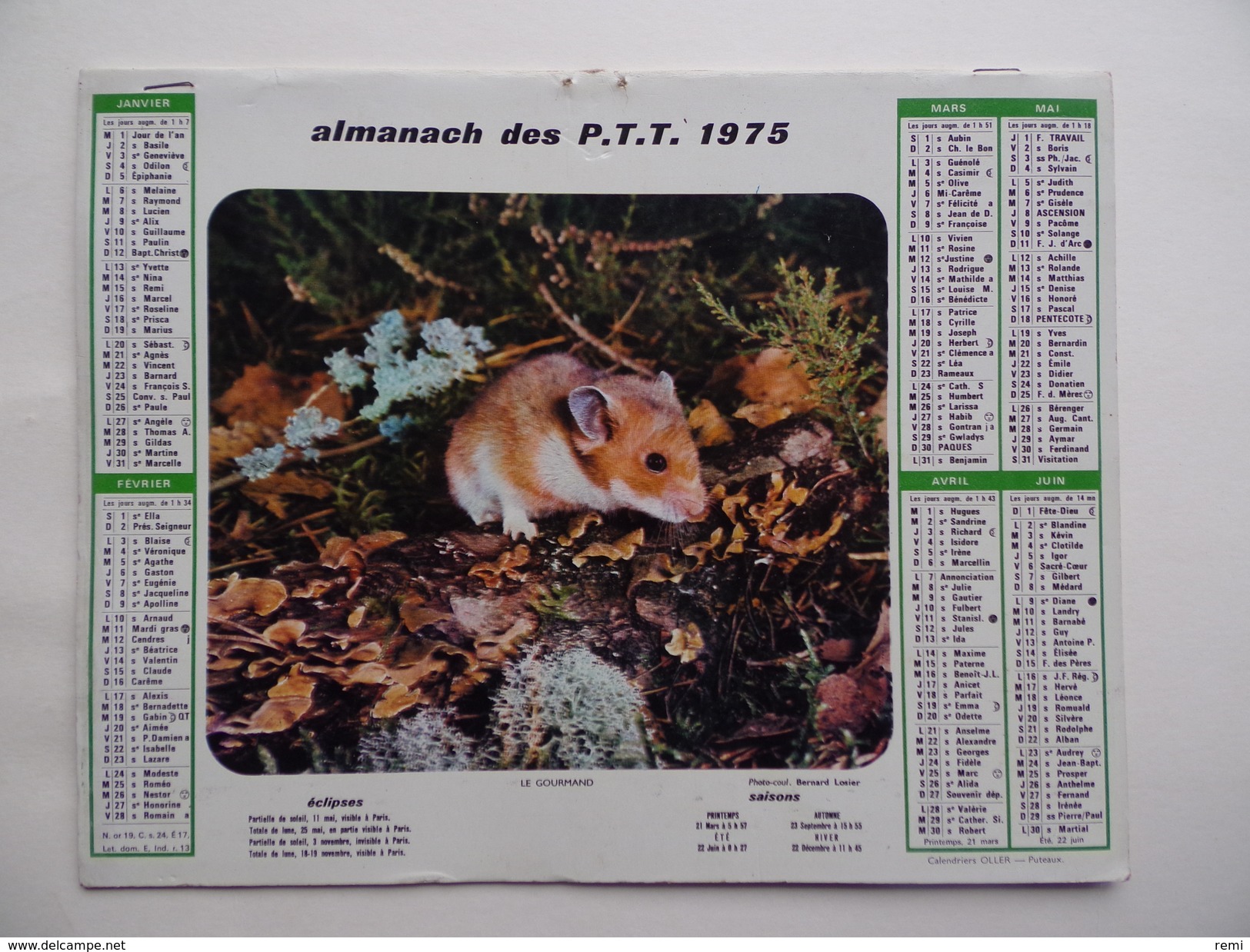 CALENDRIER P.T.T. POSTE POSTES 1975 ALMANACH CALENDAR KALENDER Lerot Loir Chien Fillette - Grand Format : 1971-80