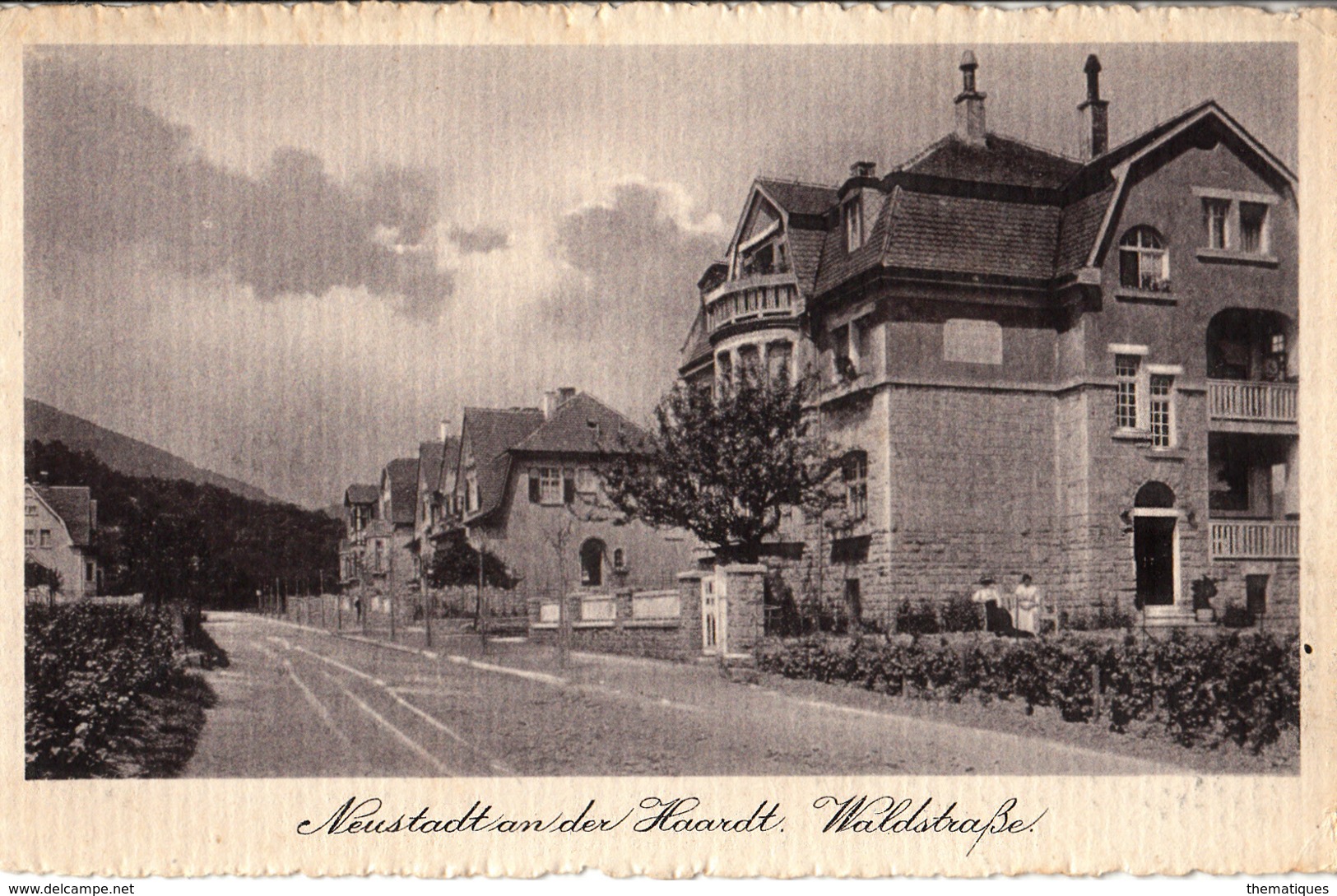 Thématiques Allemagne Neustadt An Der Haardt Waldstrabe - Autres & Non Classés