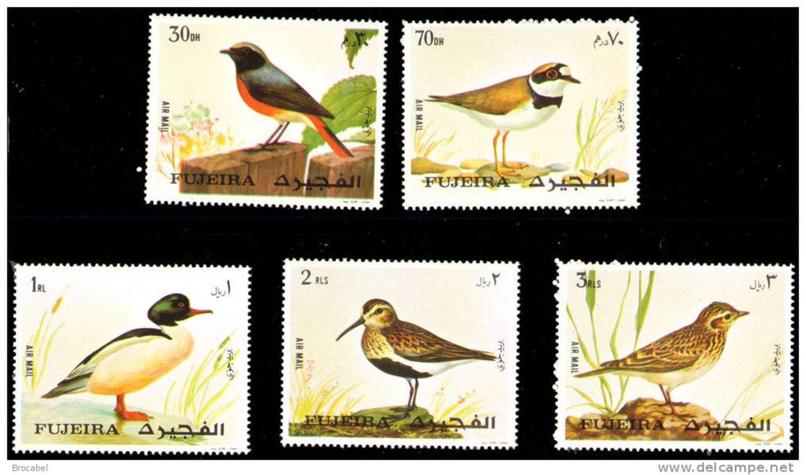 Fujeira  -MNH - OIseaux - Birds- Air Mail - Arabie Saoudite