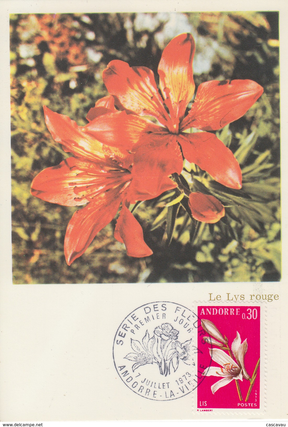 Carte  Maximum  1er  Jour  ANDORRE   Flore  :  LYS  ROUGE   1973 - Maximum Cards