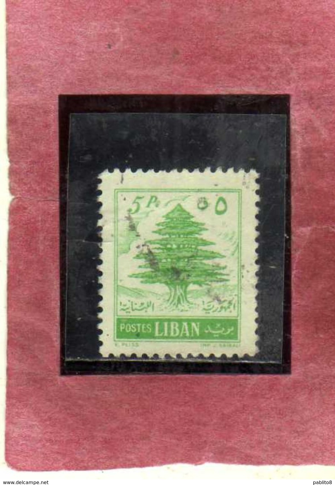 LIBANO LEBANON LIBAN 1955 CEDAR CEDRO 5p USATO USED OBLITERE' - Lebanon