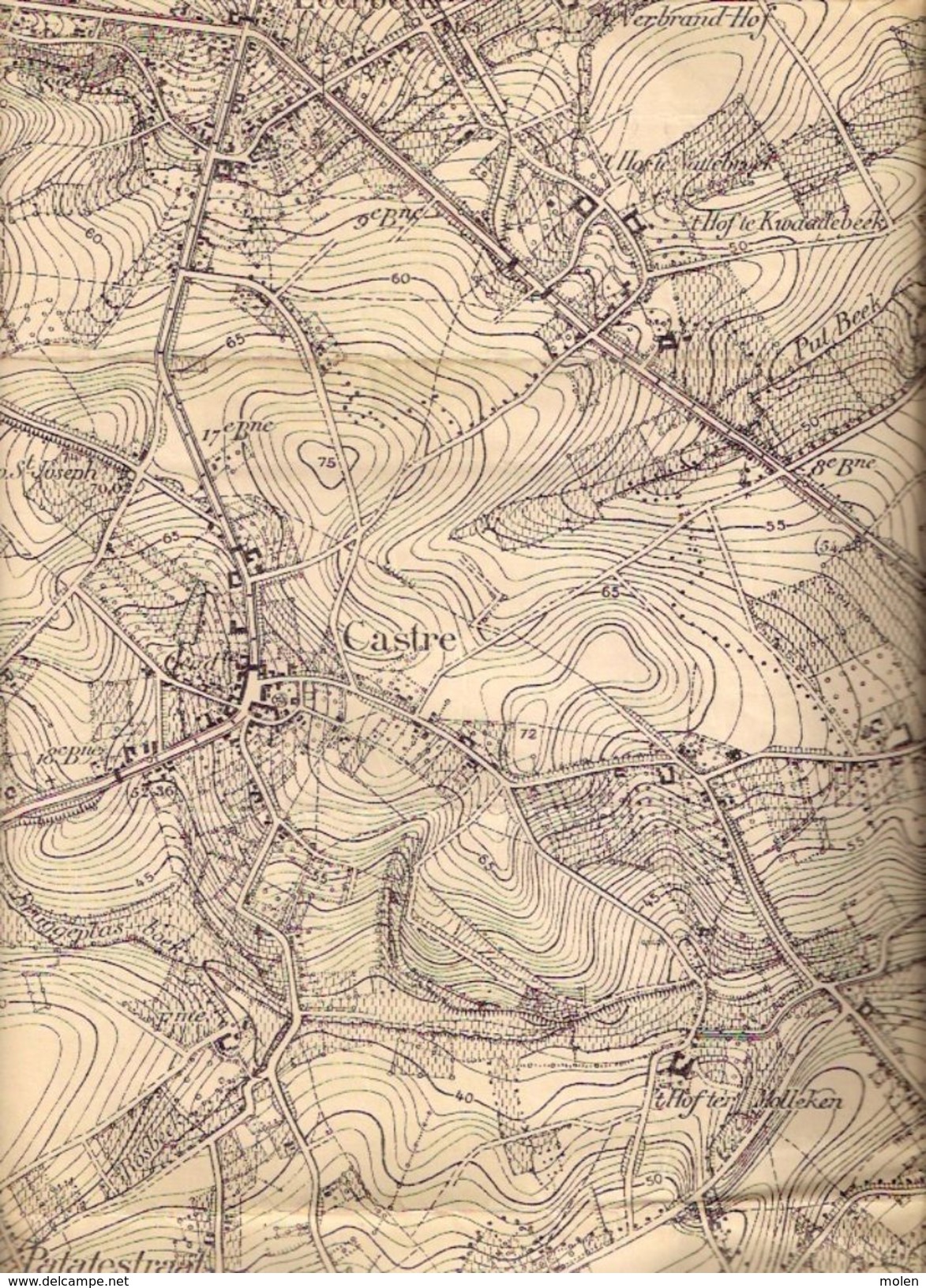 STAFKAART 31/5 Situatie 1865 SINT-KWINTENS-LENNIK GOOIK GAASBEEK LEERBEEK KESTER PEPINGEN BEERT HERFELINGEN LOMBEEK S275