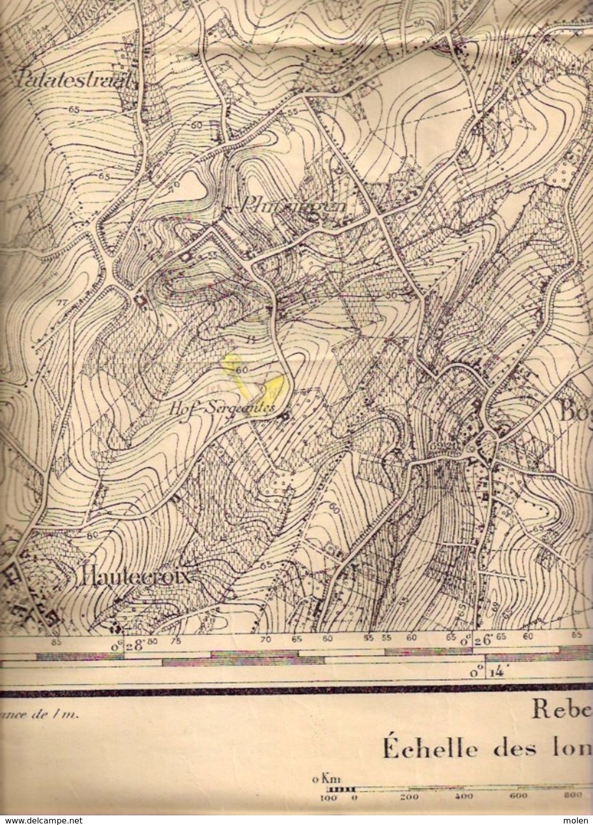 STAFKAART 31/5 Situatie 1865 SINT-KWINTENS-LENNIK GOOIK GAASBEEK LEERBEEK KESTER PEPINGEN BEERT HERFELINGEN LOMBEEK S275