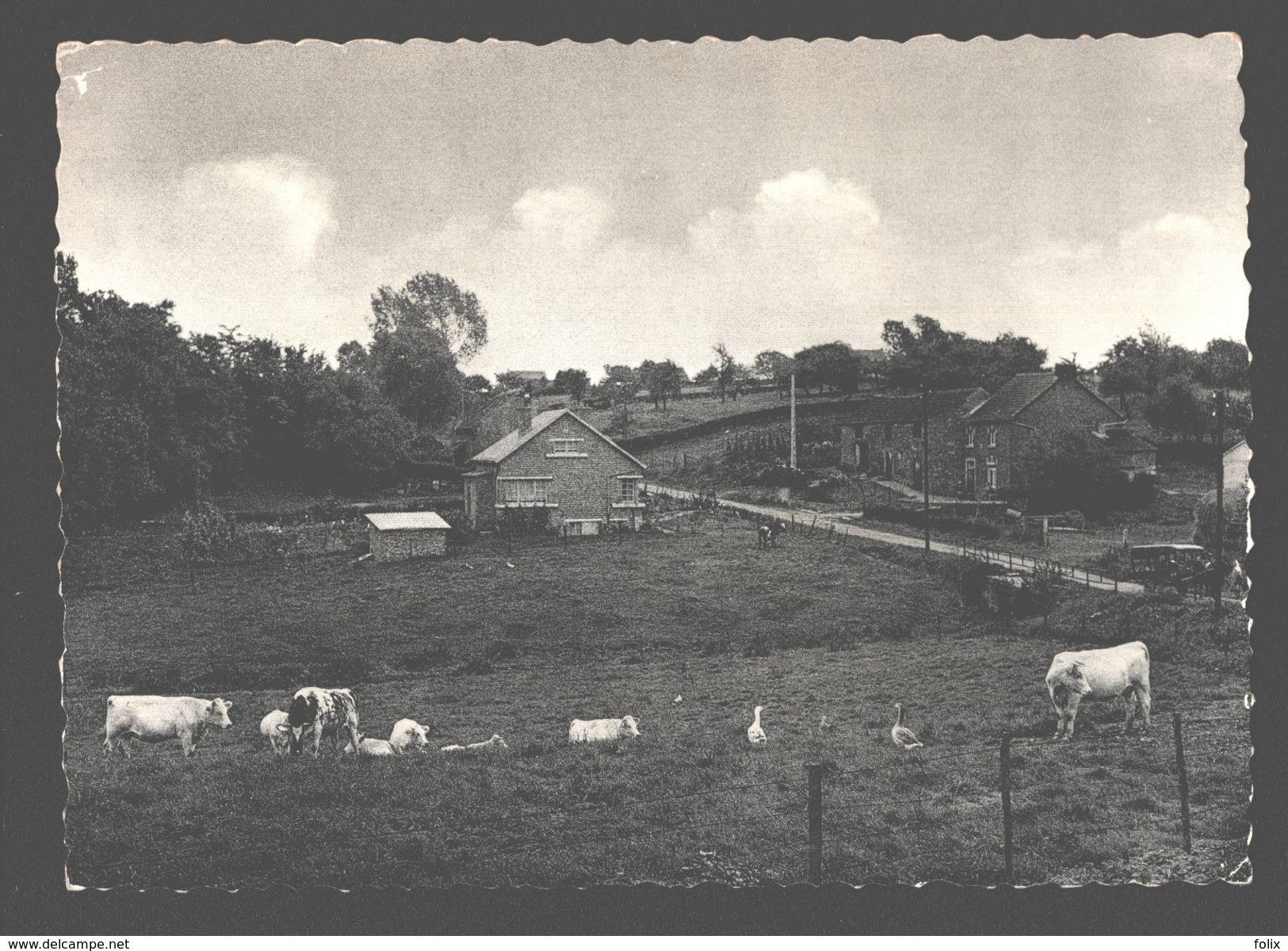 Héron - Le Fond De Boingt - Vaches - Nels Photothill - Heron