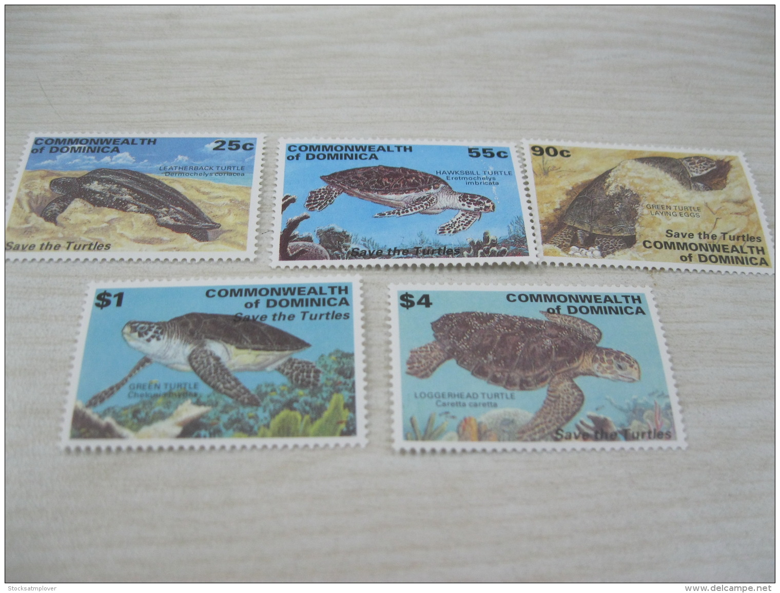 Dominica Fish Marine Life Turtles - Dominica (1978-...)