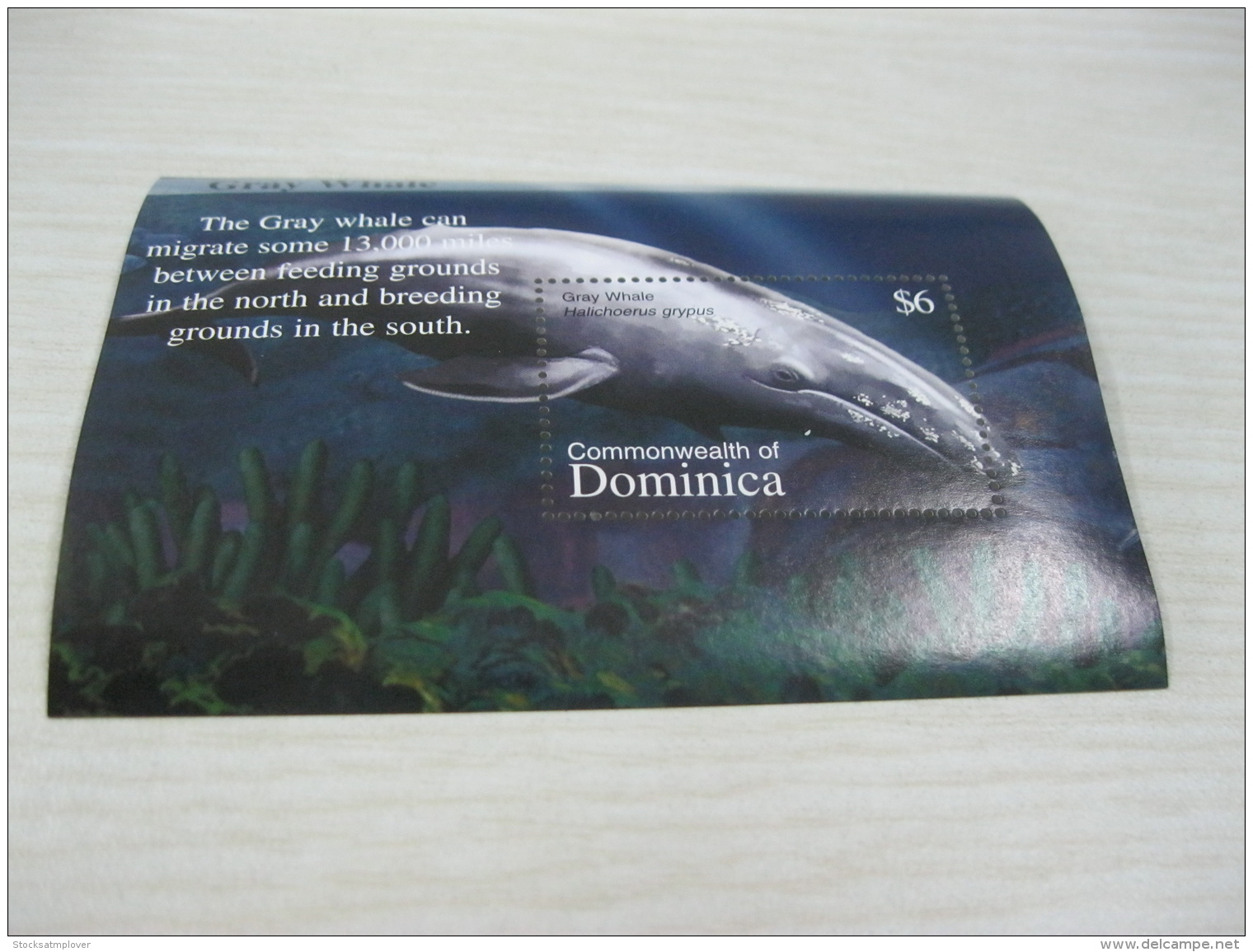 Dominica Fish Whales - Dominica (1978-...)