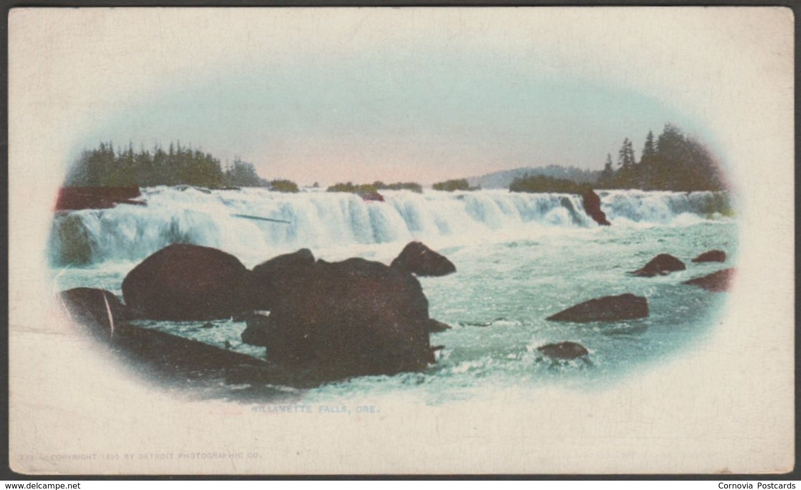 Willamette Falls, Oregon, 1899 - Detroit Photographic Co Private Mailing Card - Other & Unclassified