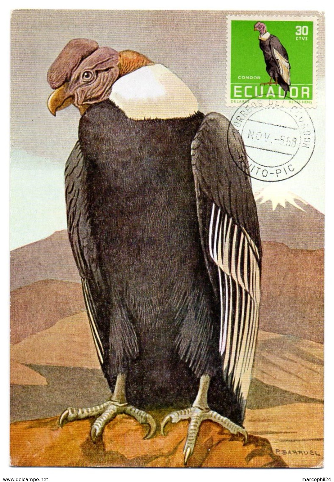 OISEAU /  CONDOR =  EQUATEUR / ECUADOR 1958 N° 634  = CARTE MAXIMUM - Aigles & Rapaces Diurnes