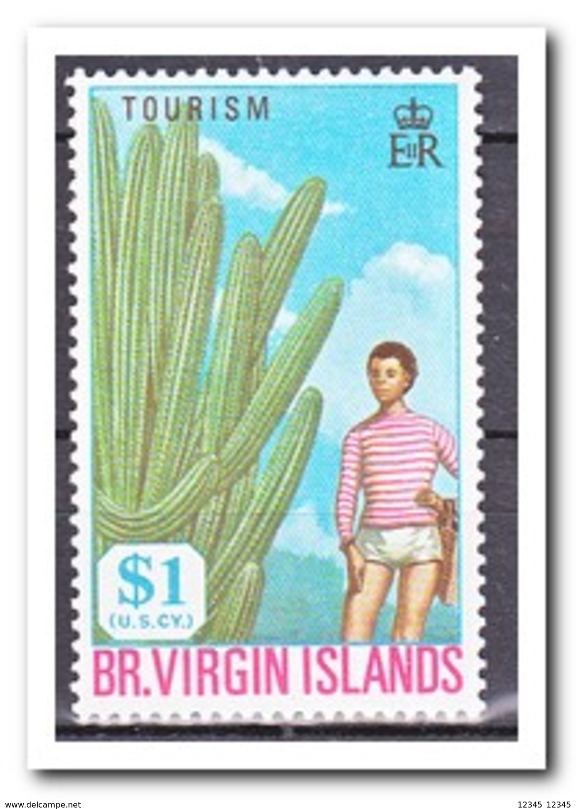 Britse Maagdeneilanden 1969, Postfris MNH, Cacti - Britse Maagdeneilanden