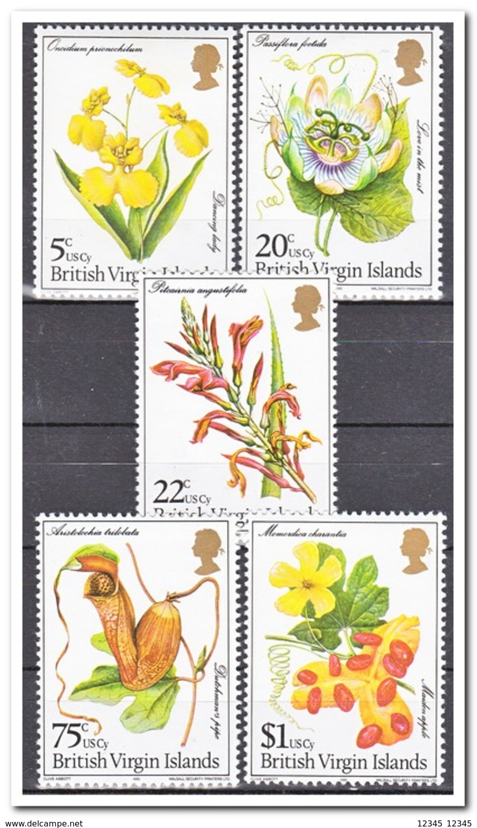 Britse Maagdeneilanden 1981, Postfris MNH, Flowers - Britse Maagdeneilanden