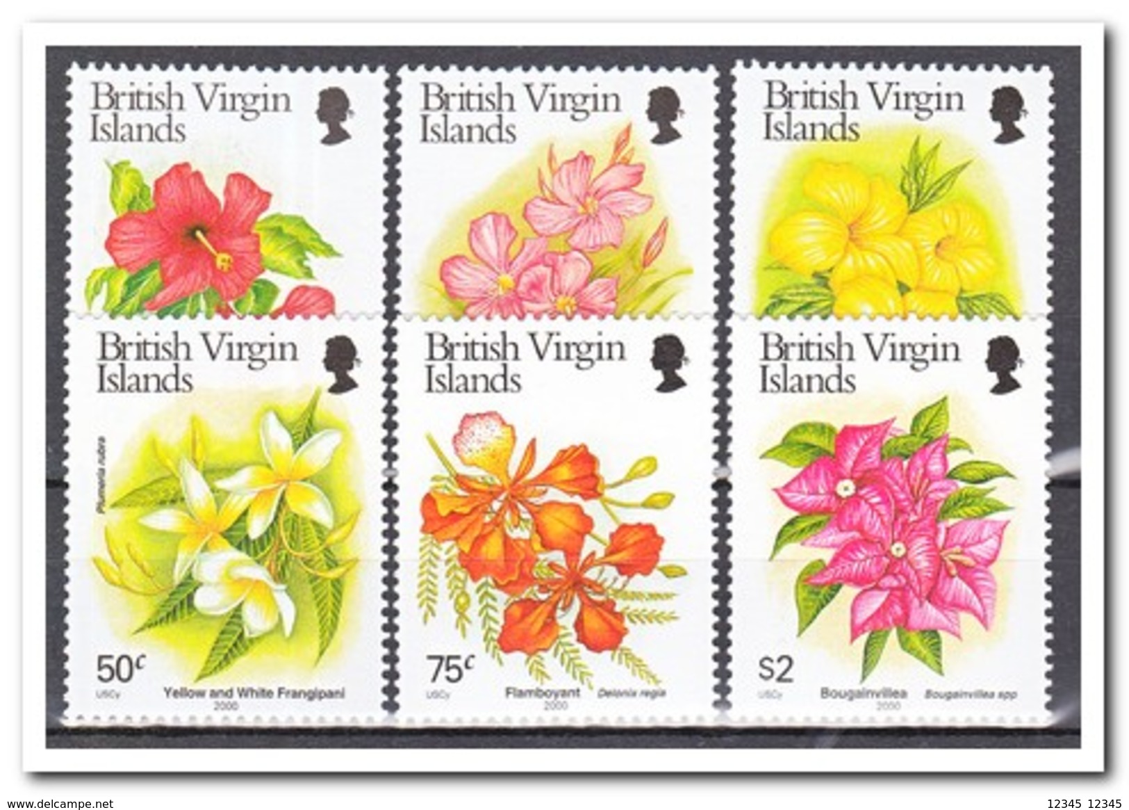 Britse Maagdeneilanden 2000, Postfris MNH, Flowers - Britse Maagdeneilanden