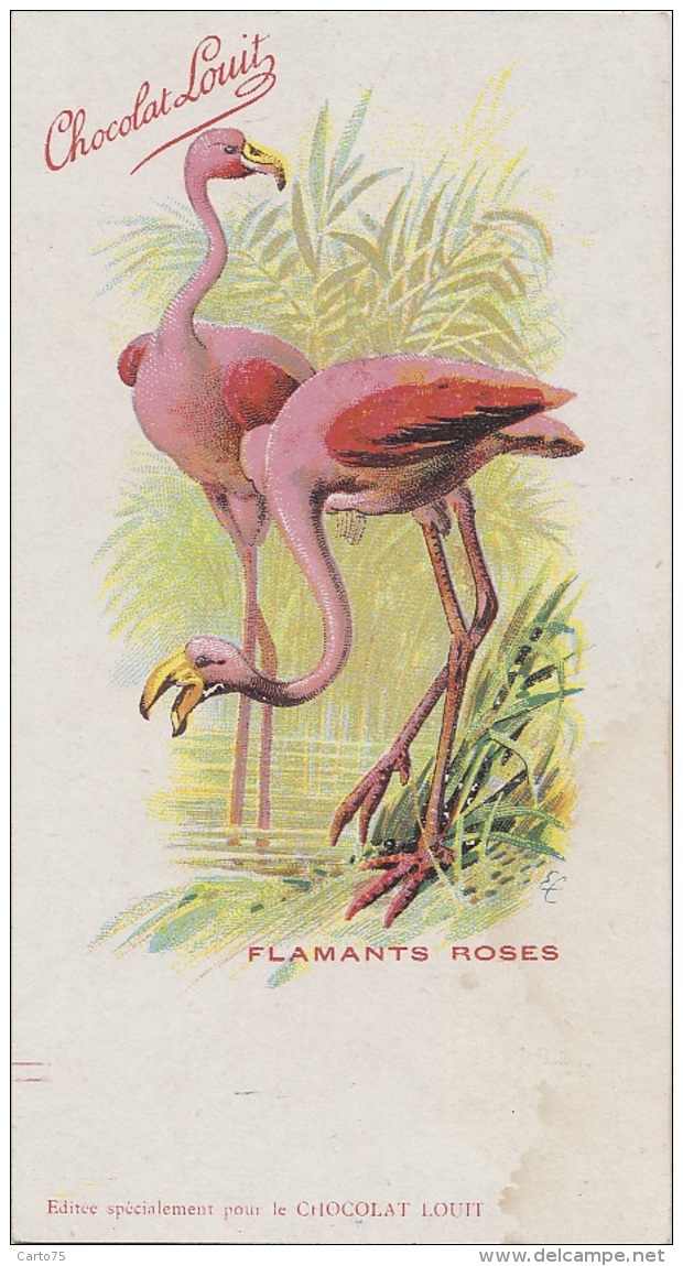 Oiseaux - Illustration - Publicité Chocolat Louit - Précurseur - Flamants Roses - Vögel