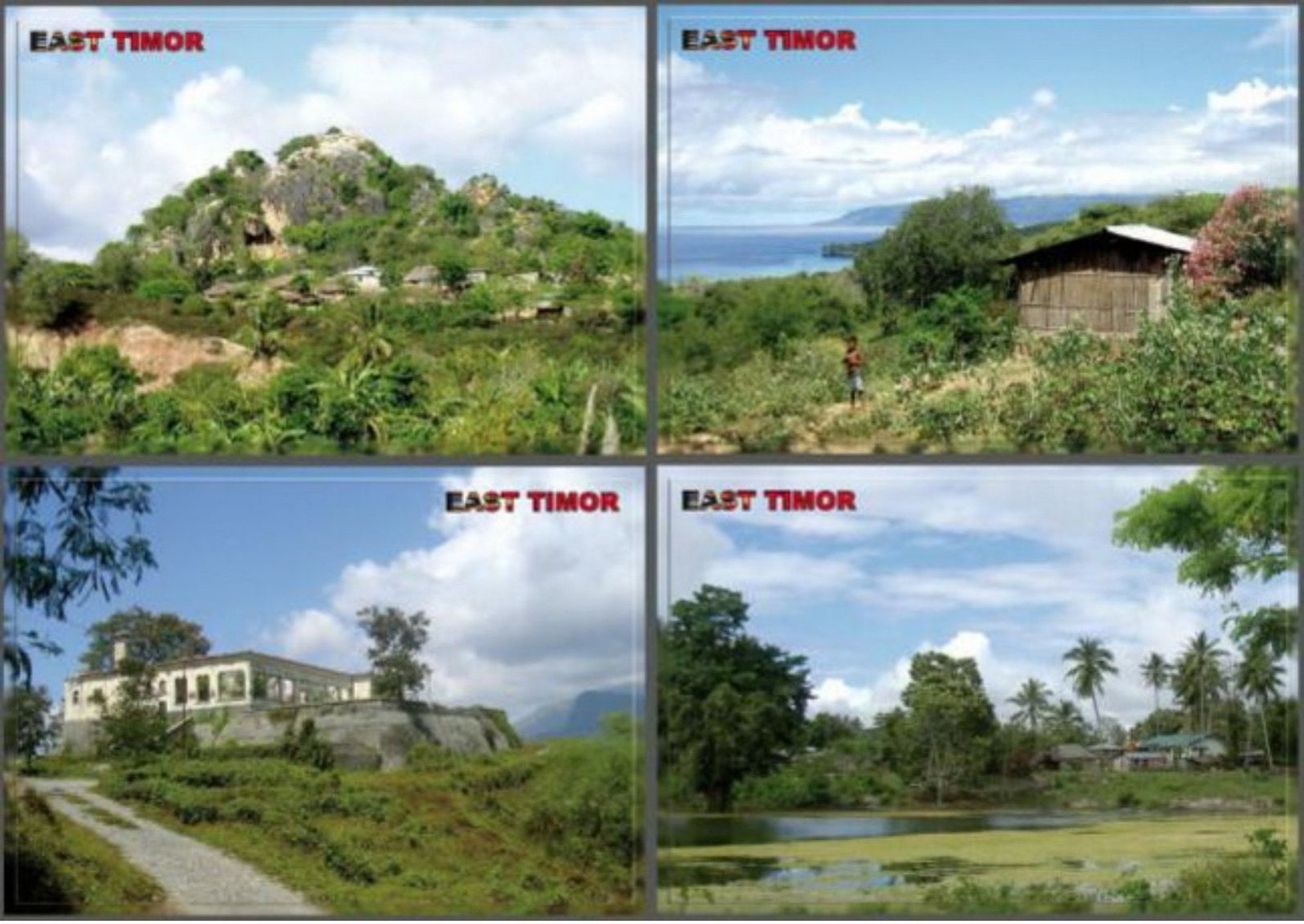 Timor East Timor Timur Timor Lorosae Lot 10 Postcards Cartes Postales Cartao Postais Asia - Dili - Timor Oriental