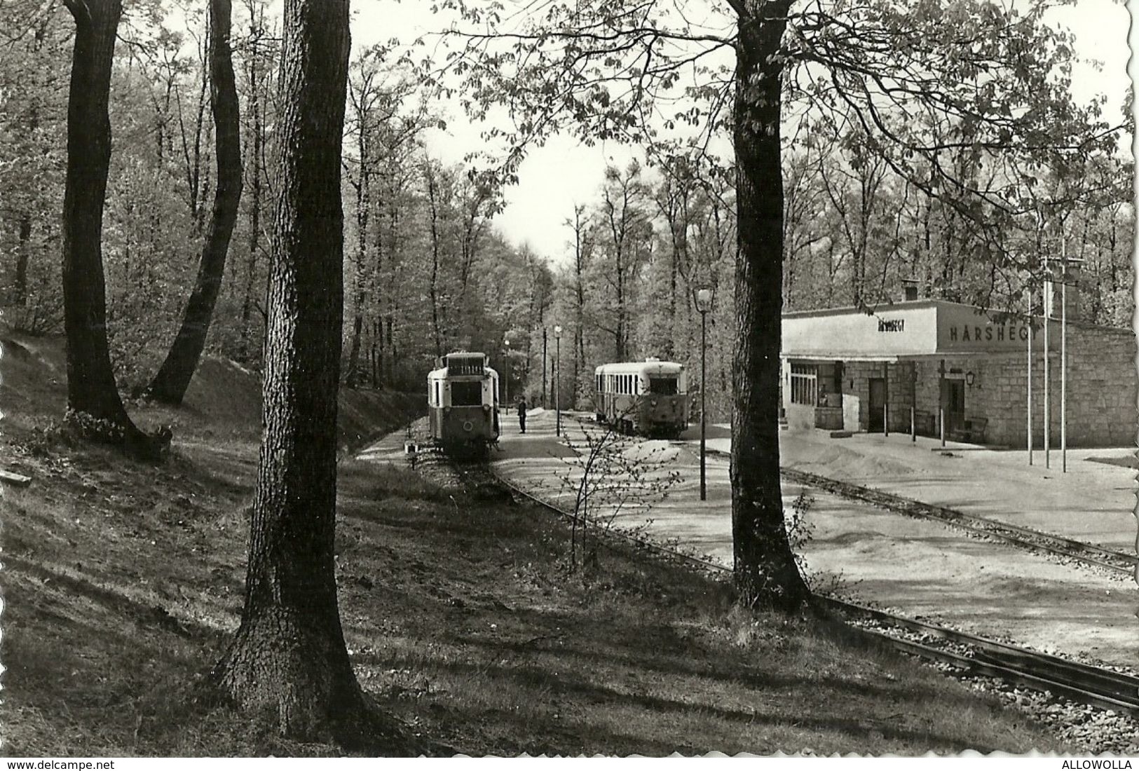 352 - "BUDAPEST - UTTOROVASUT HARS-HEGY (STAZ. DI HEGY DEL TRENO PIONIER PER BAMBINI) "  -  CART.  ANIMATA -  NON SPED. - Hungría