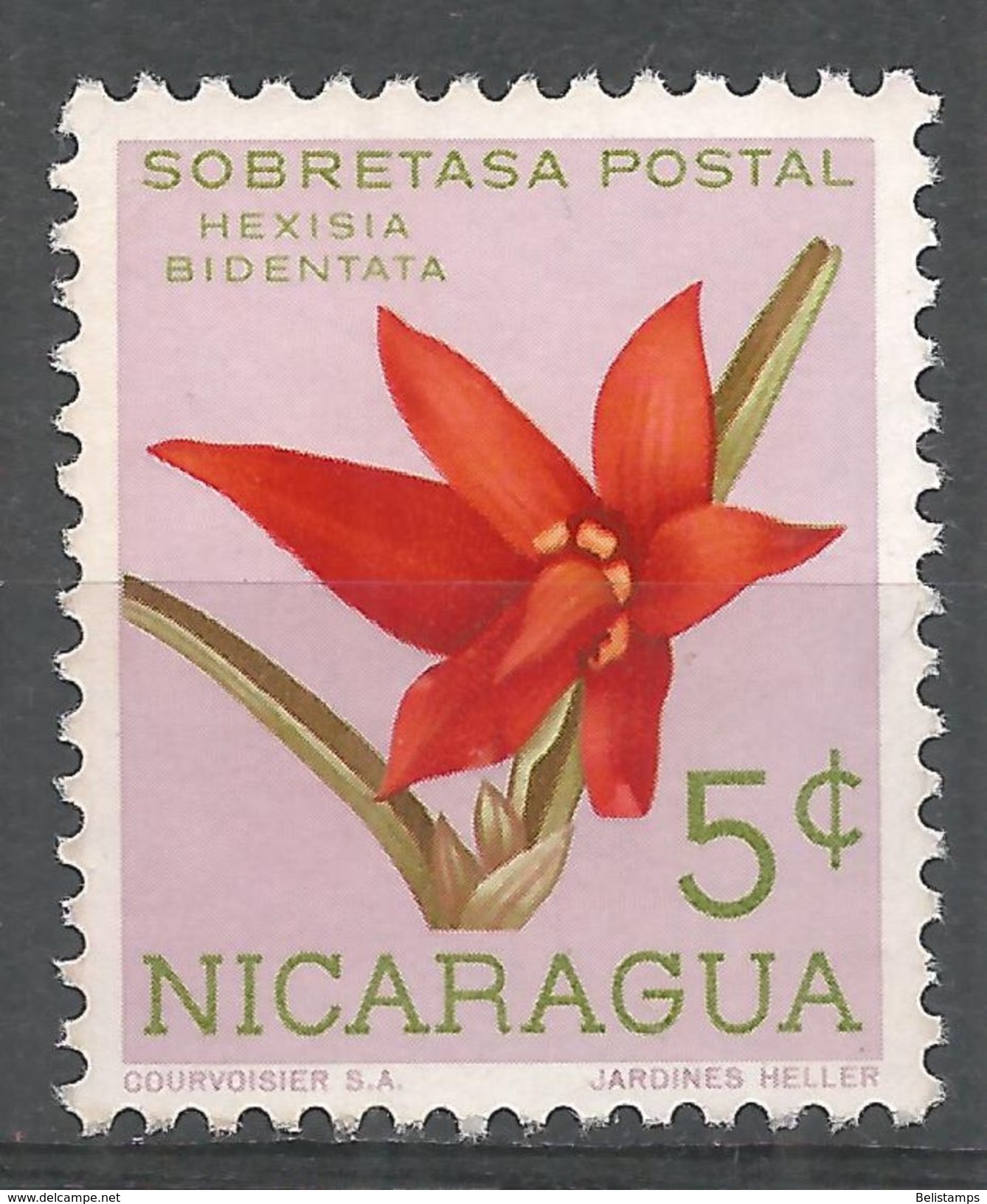 Nicaragua 1962. Scott #RA66 (M) Hexisia Bidentata, Flower, Orchid - Nicaragua