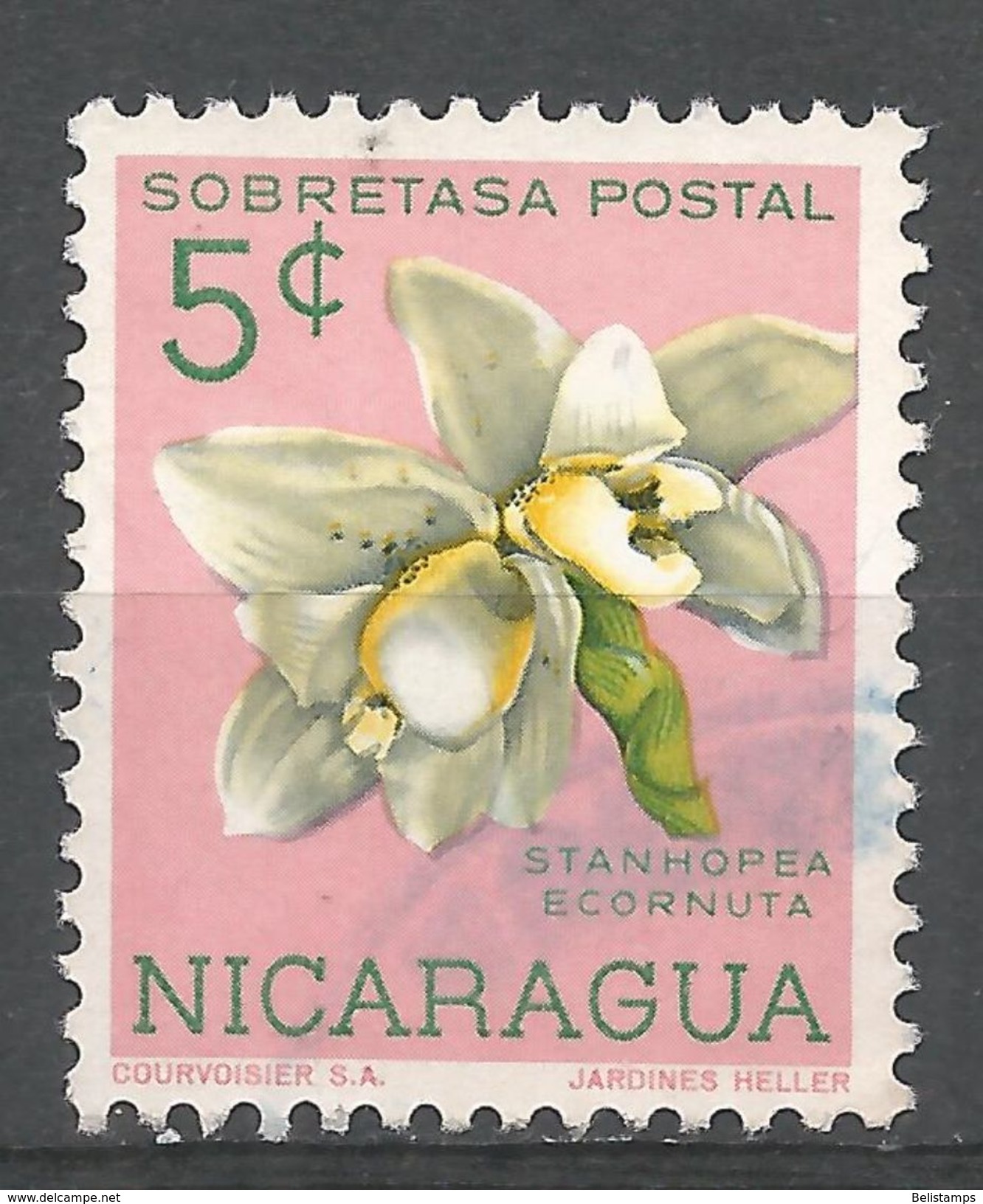 Nicaragua 1962. Scott #RA68 (U) Stanhopea Ecornuta, Flower, Orchid - Nicaragua