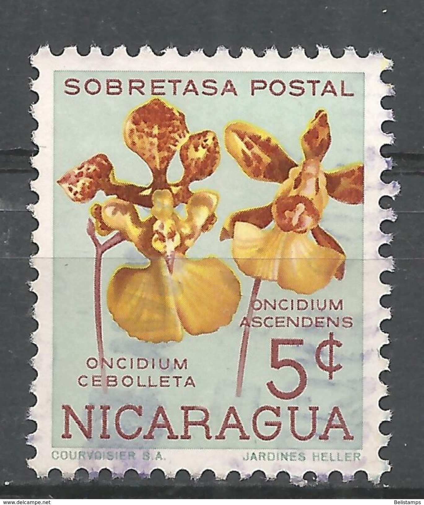 Nicaragua 1962. Scott #RA75 (U) Oncidium Cebolleta And Ascendens, Flower, Orchid - Nicaragua