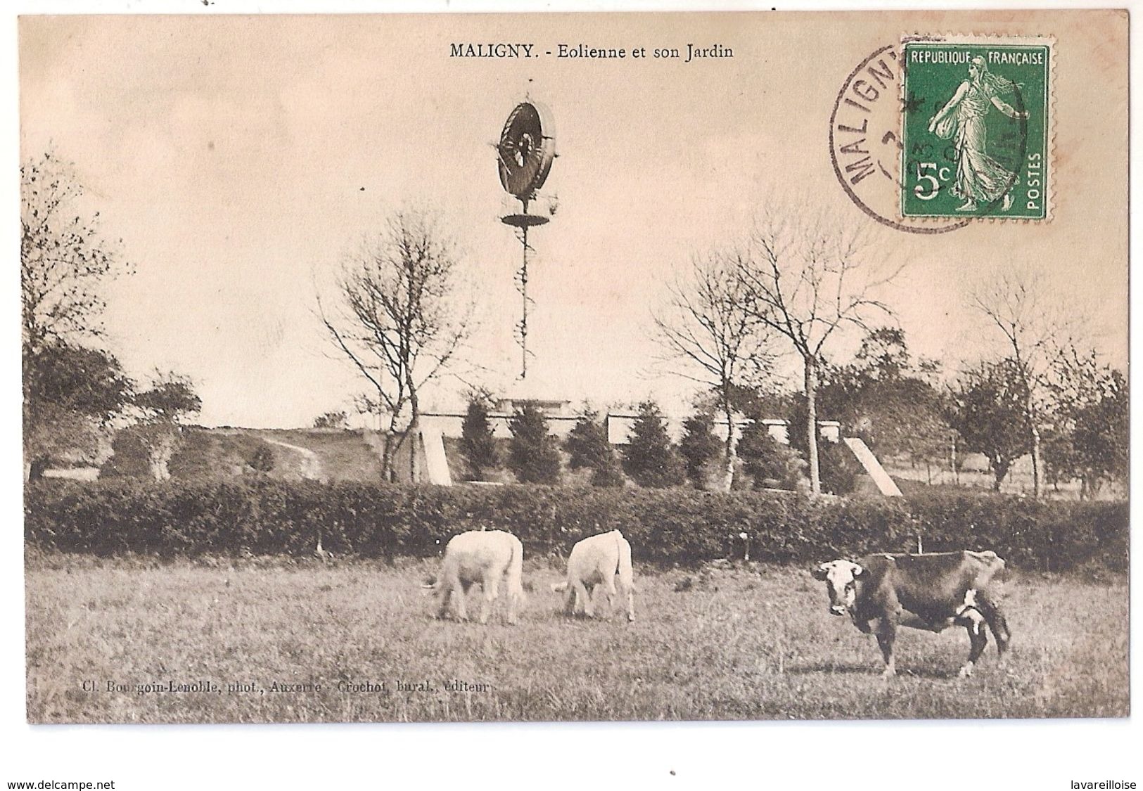 CPA 89 MALIGNY EOLIENNE ET SON JARDIN RARE BELLE CARTE !! - Autres & Non Classés