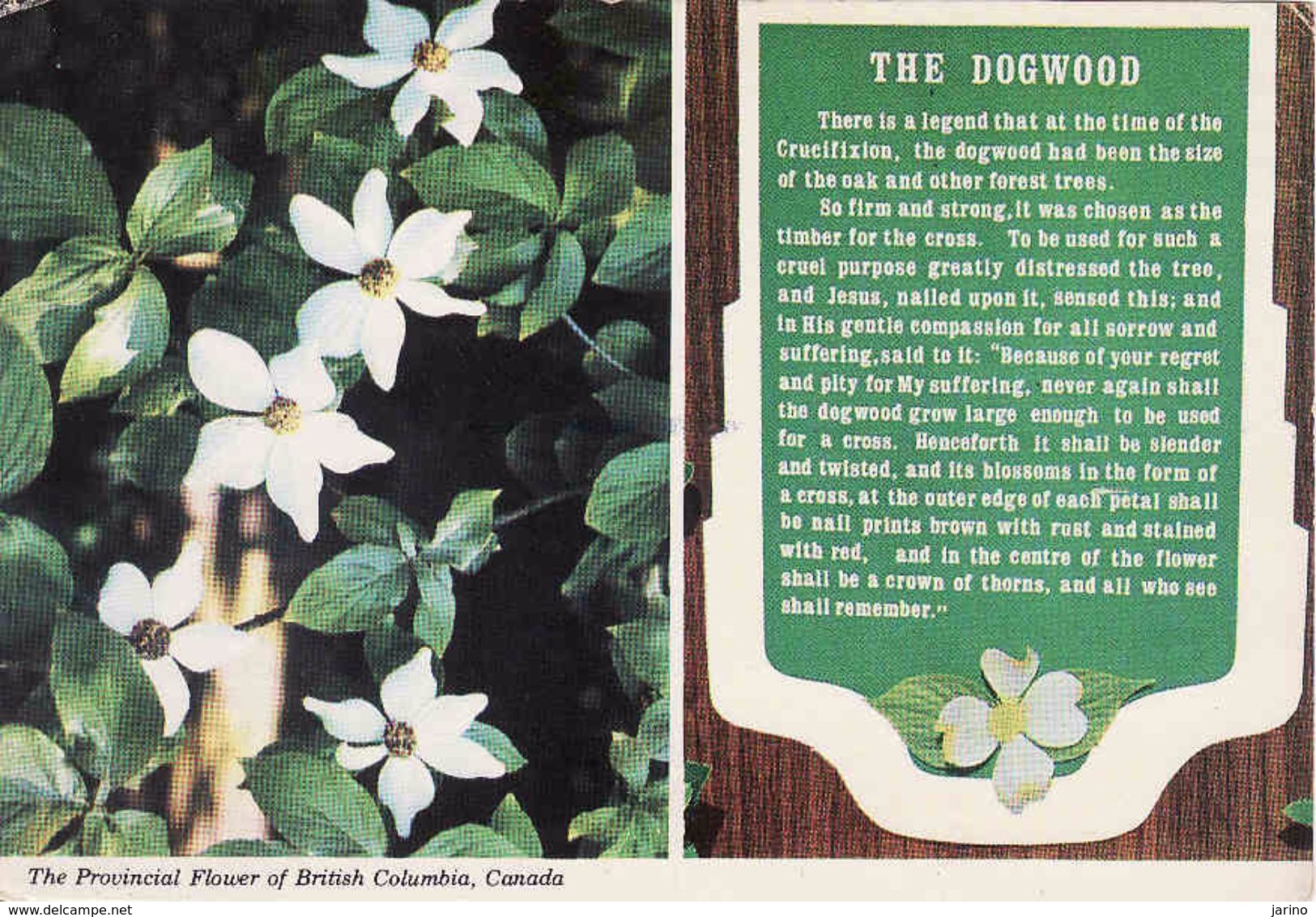 Canada, British Columbia, The Dogwood, Used 1977 - Prince George