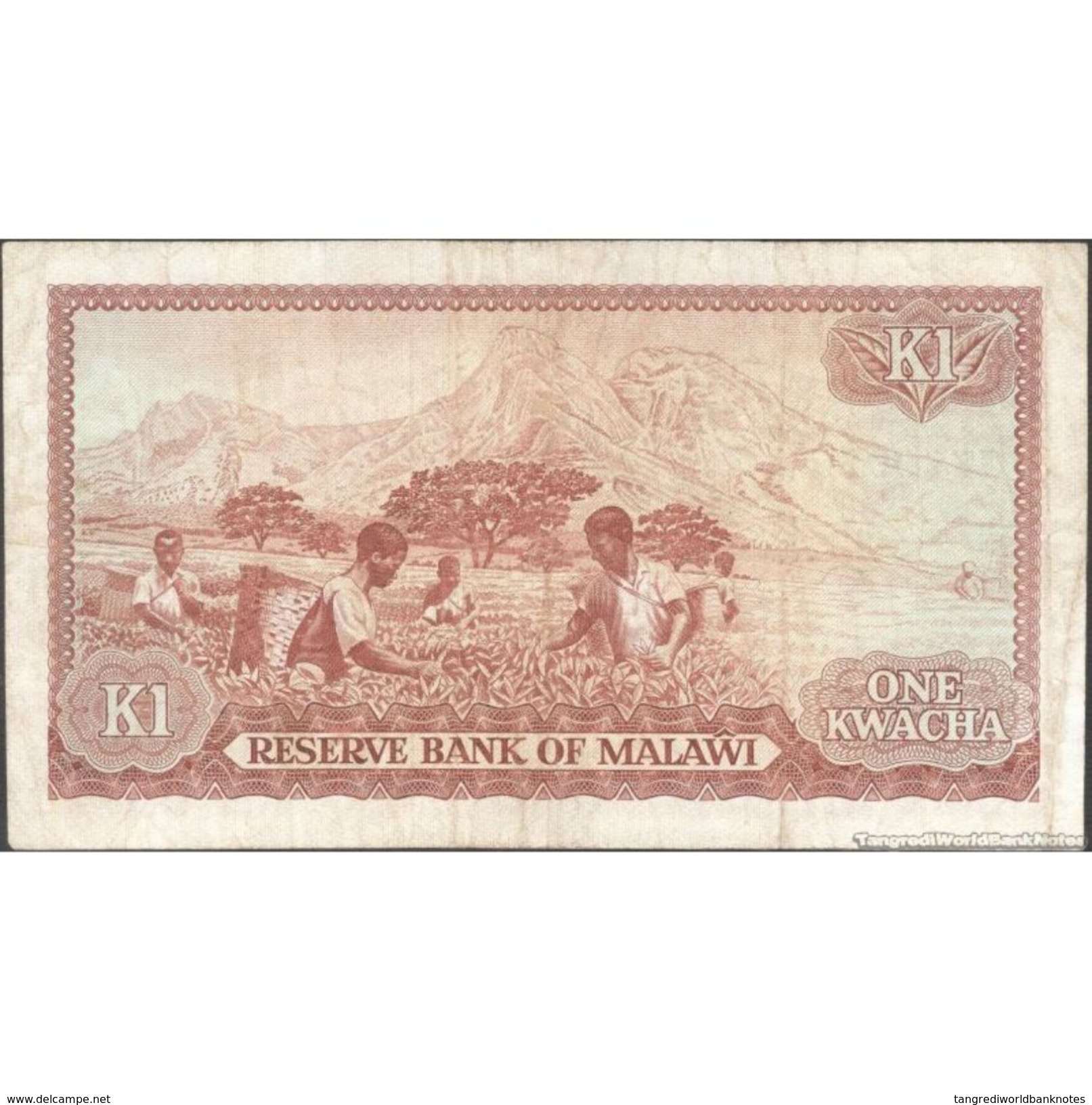 TWN - MALAWI 14g - 1 Kwacha 1.1.1984 CM/A 077092 F/VF - Malawi