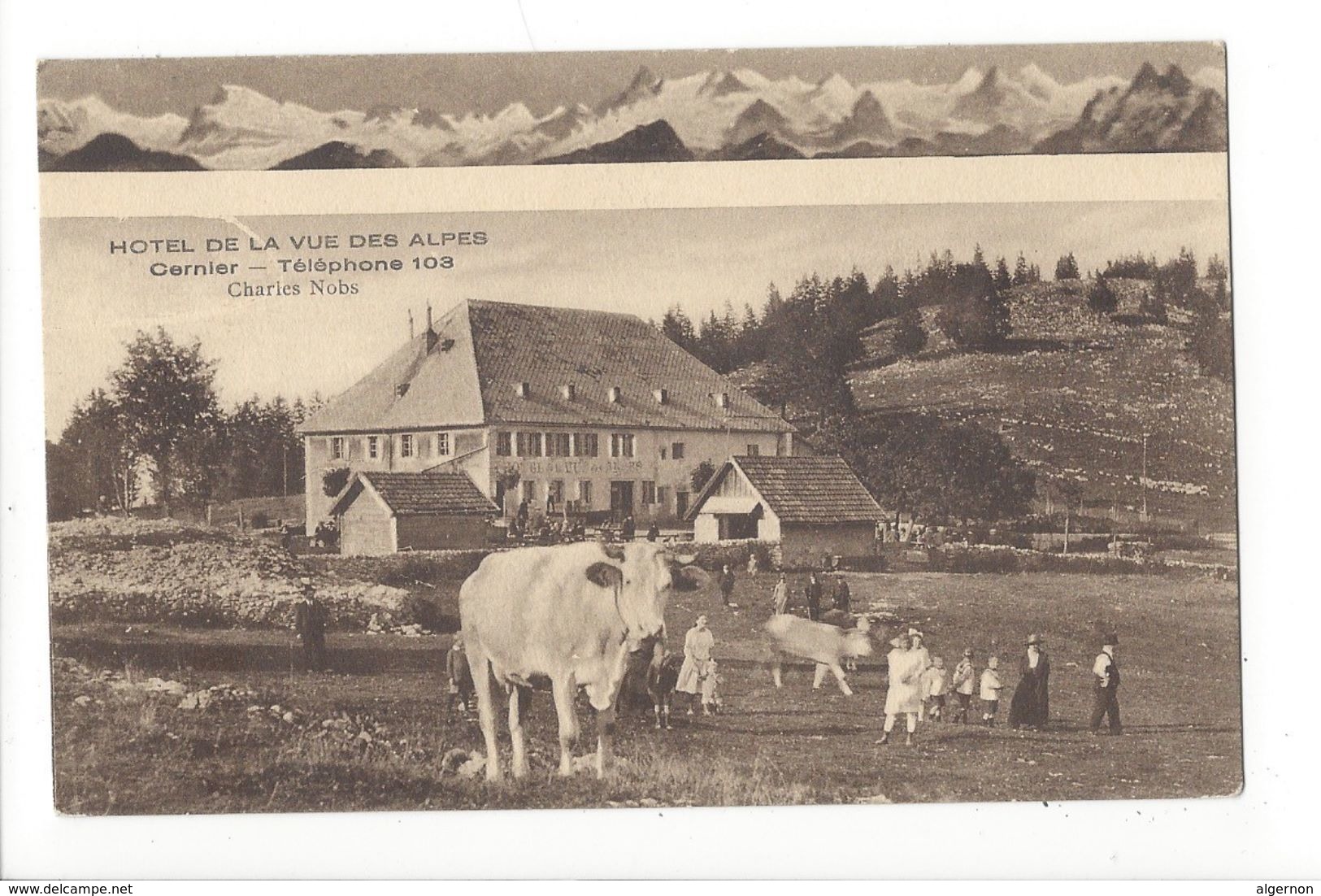 18998 - Hôtel De La Vue Des Alpes Cernier - Cernier