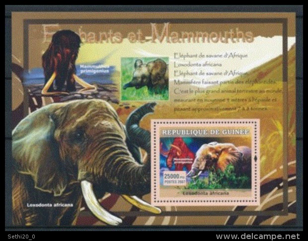 Guinée 2007 Prehistory Prehistoire Mammuthus Primeginius - Prehistory