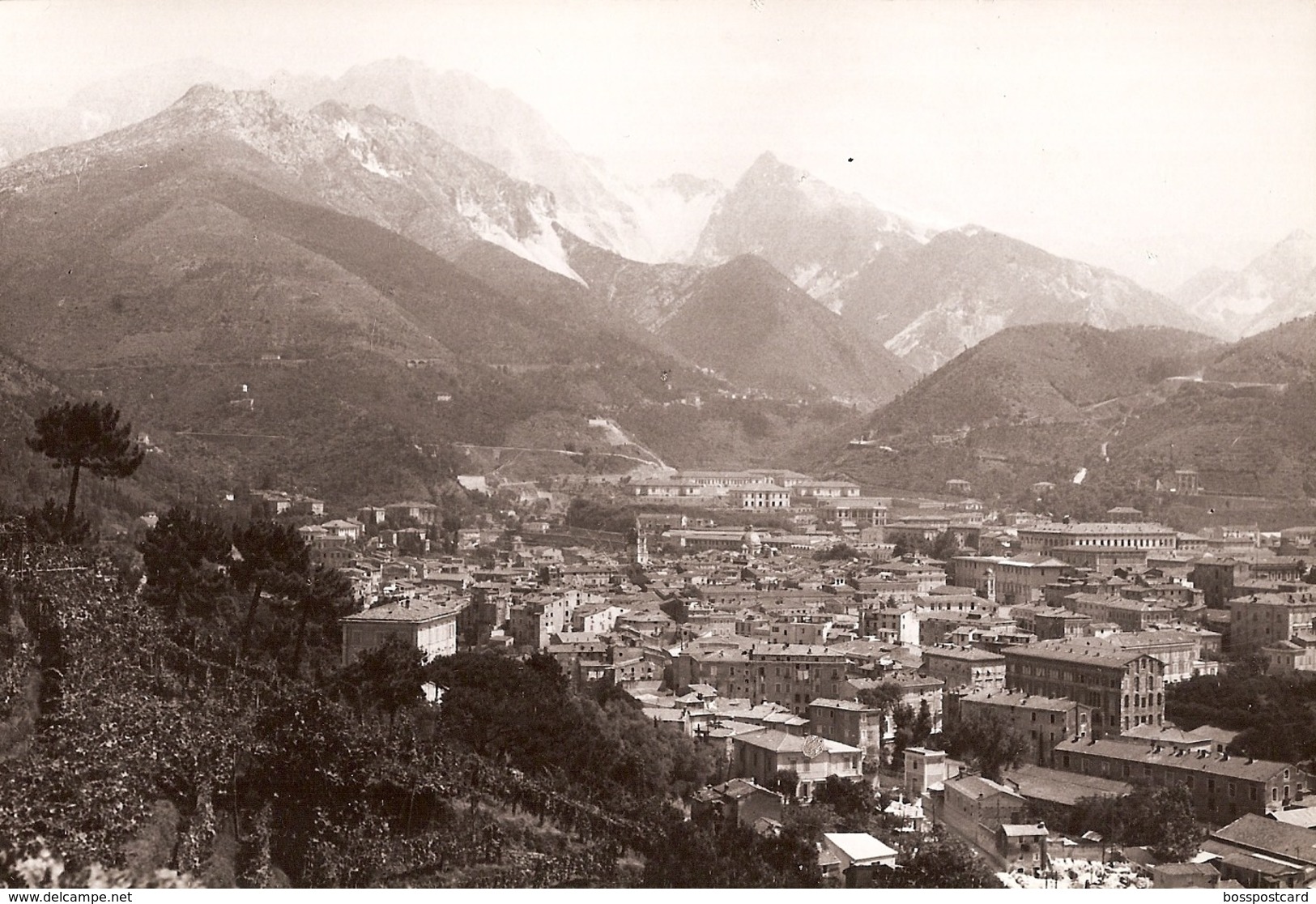 Carrara - REAL PHOTO (12,0 X 18,0 Cm) - Panorama E Veduta Con Le Cave Di Marmo - Massa - Italia - Massa