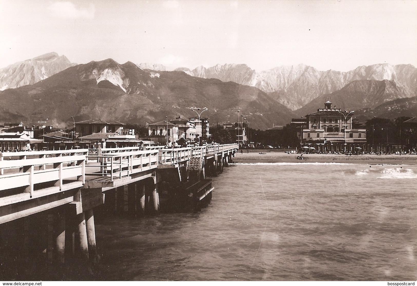 Marina Di Massa - REAL PHOTO (12,0 X 18,0 Cm) - Veduta Con Le Alpi Apuane - Italia - Massa