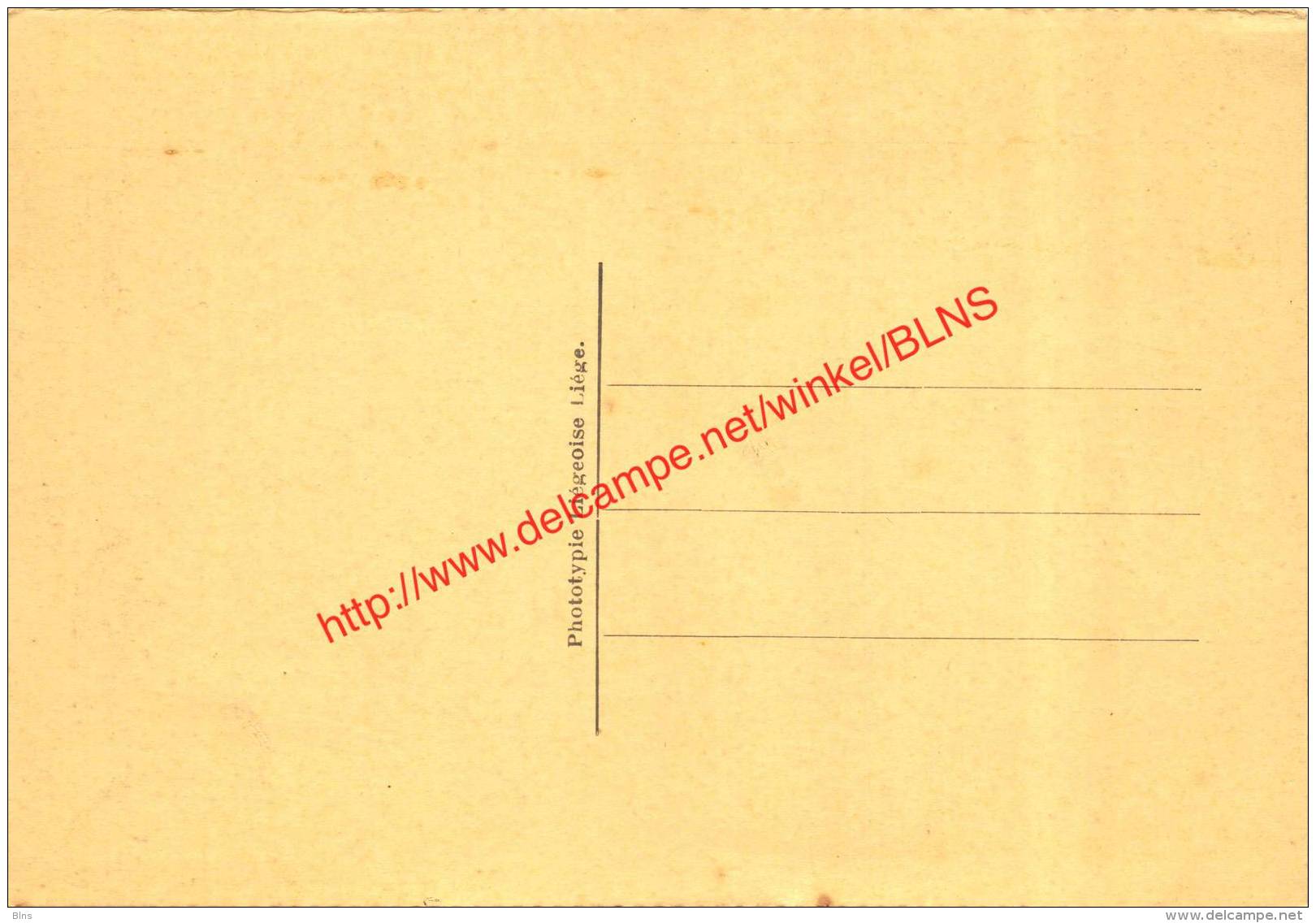 Rue Des Guillemins - Crue De La Meuse 1925-1926 - Seraing - Seraing