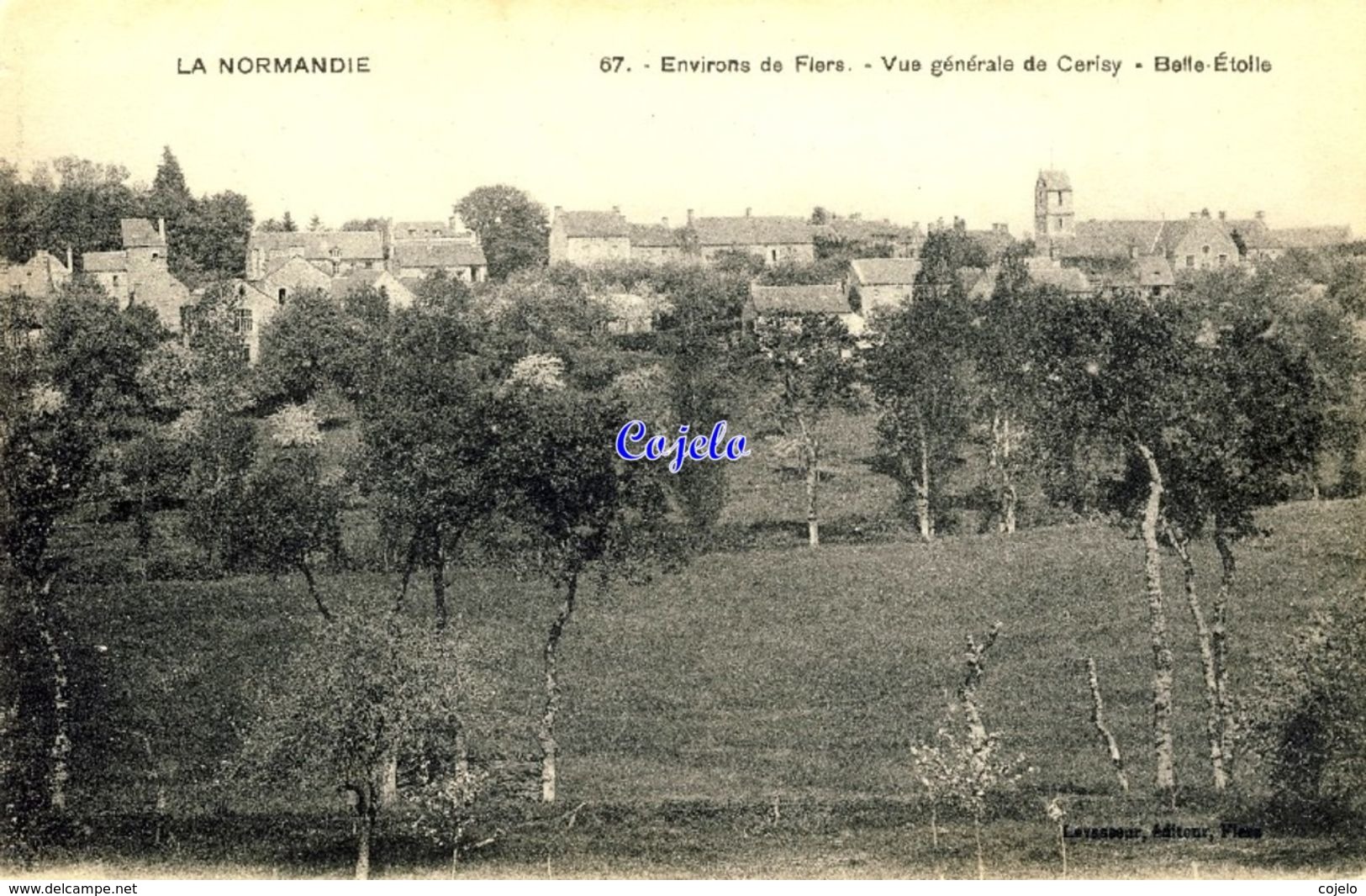 61 - Environs De Flers - Vue Générale De Cerisy - Belle-Etoile -1917 - Flers