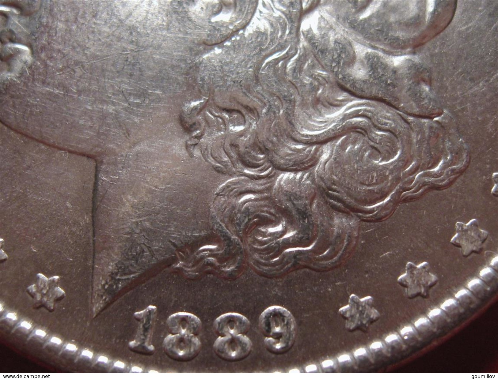 Etats-Unis - USA - One Morgan Dollar 1889 2151