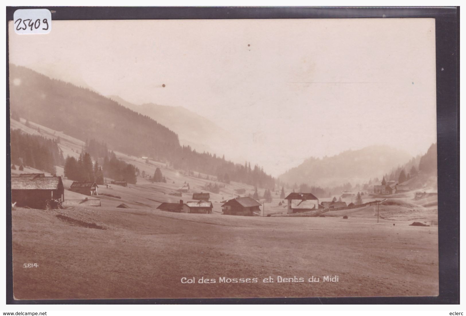 DISTRICT D'AIGLE - COL DES MOSSES - TB - Aigle