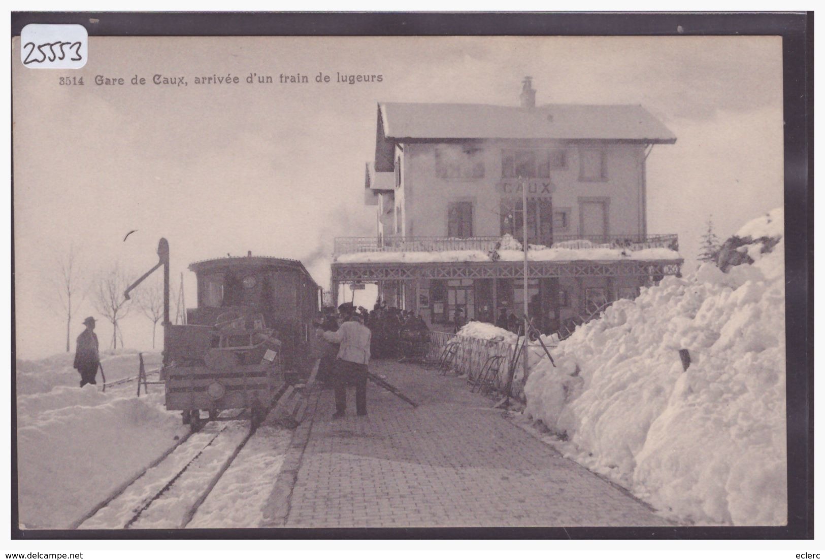 DISTRICT DE VEVEY - CAUX - LA GARE - TRAIN DES ROCHERS DE NAYE - BAHN - TB - Roche