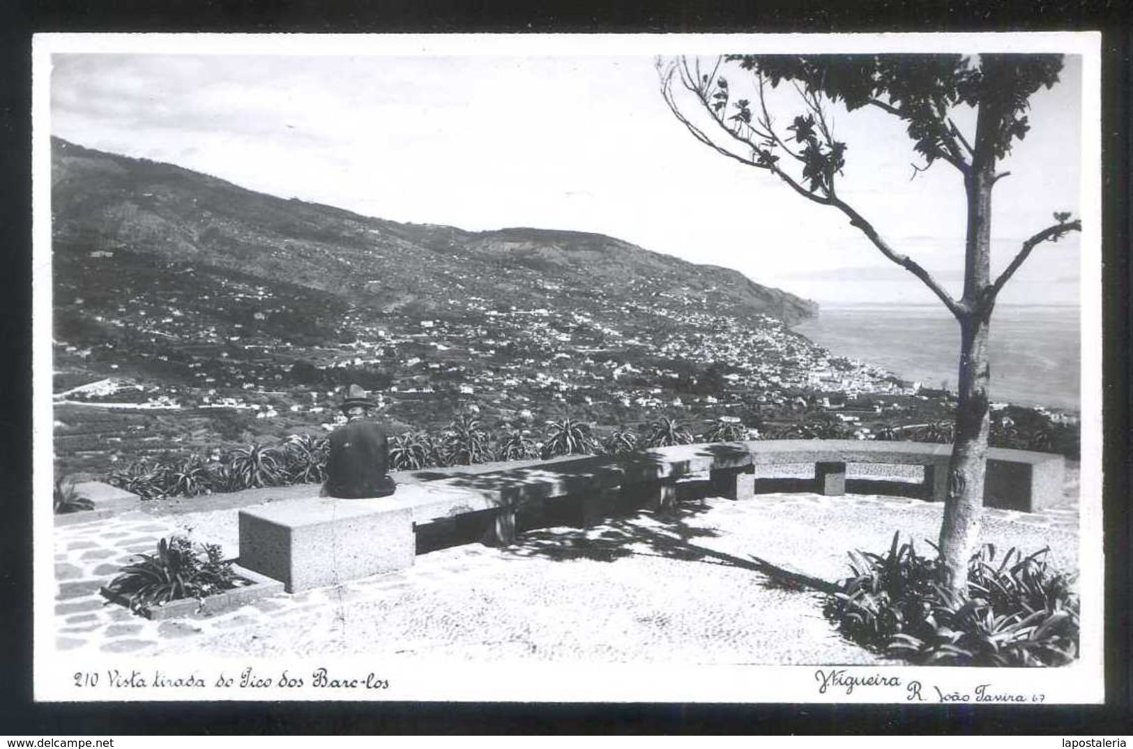 Portugal. Madeira. *Vista Tirada Do Pico Dos Barc-los* Ed. Figueira Nº 210. Nueva. - Madeira