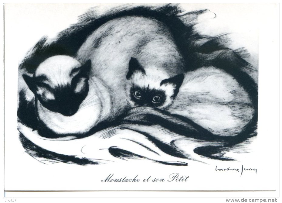 CHAT Et Chaton - Lot De 2 CPM - Illustrateur Maxime JUAN - Une Famille De Siamois - Moustache Et Son Petit - Katzen