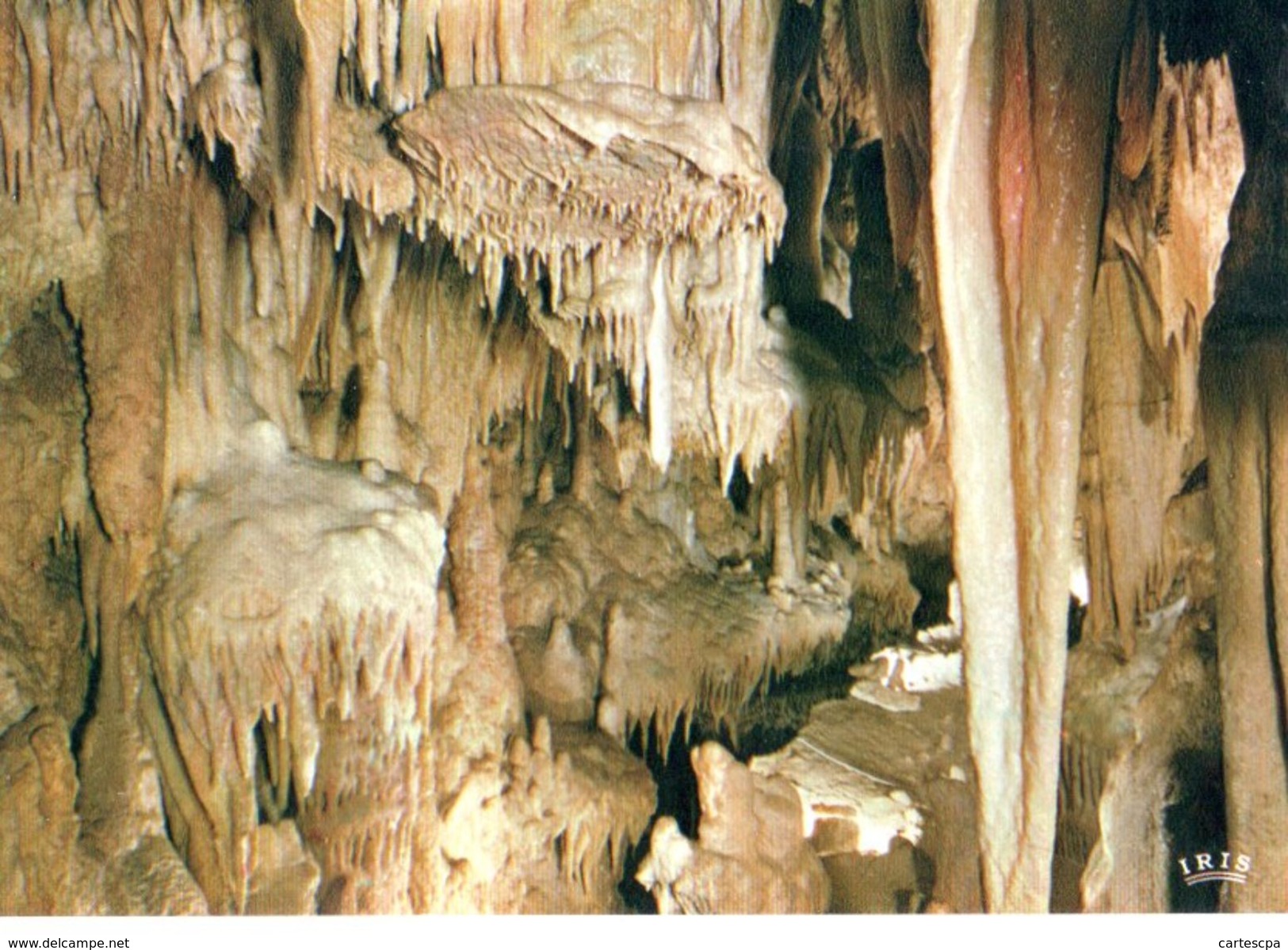 Grotte Prehistorique De Villars Salle Des Draperies CPM Ou CPSM - Other & Unclassified